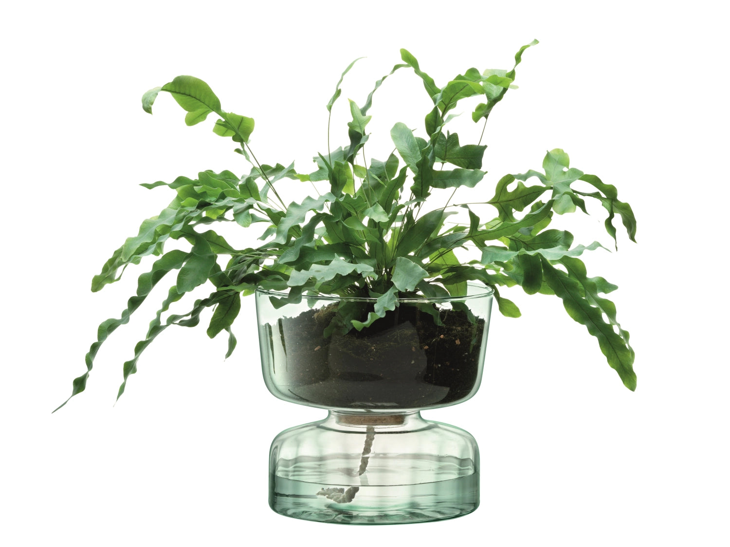 Canopy self-watering pot H22cm - recy. optics