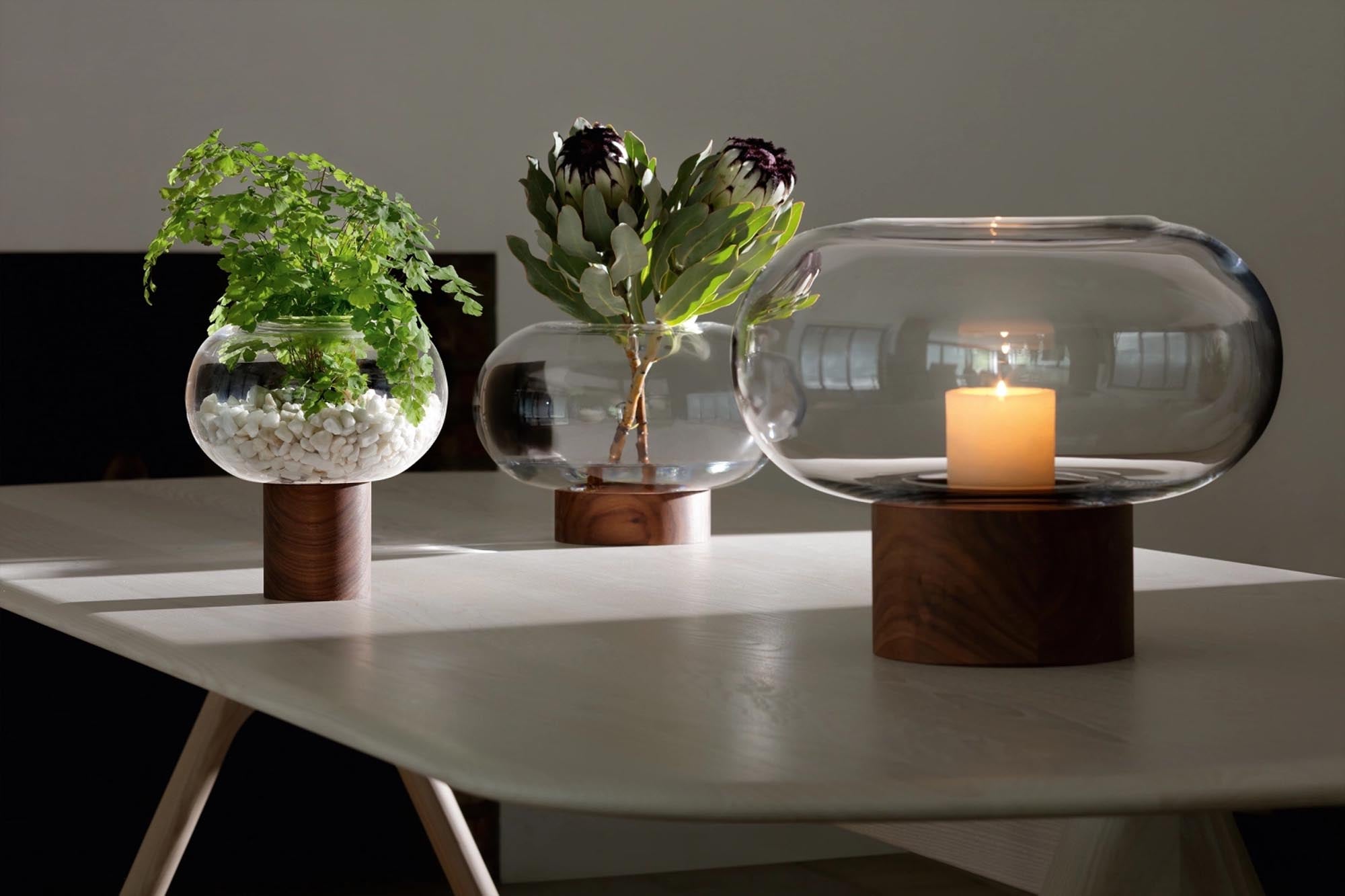 Entdecken Sie die Oblate Vase Laterne von LSA: Ein stilvolles Zusammenspiel aus klarem Glas und Walnussholz, ideal für Blumen und stimmungsvolles Licht.