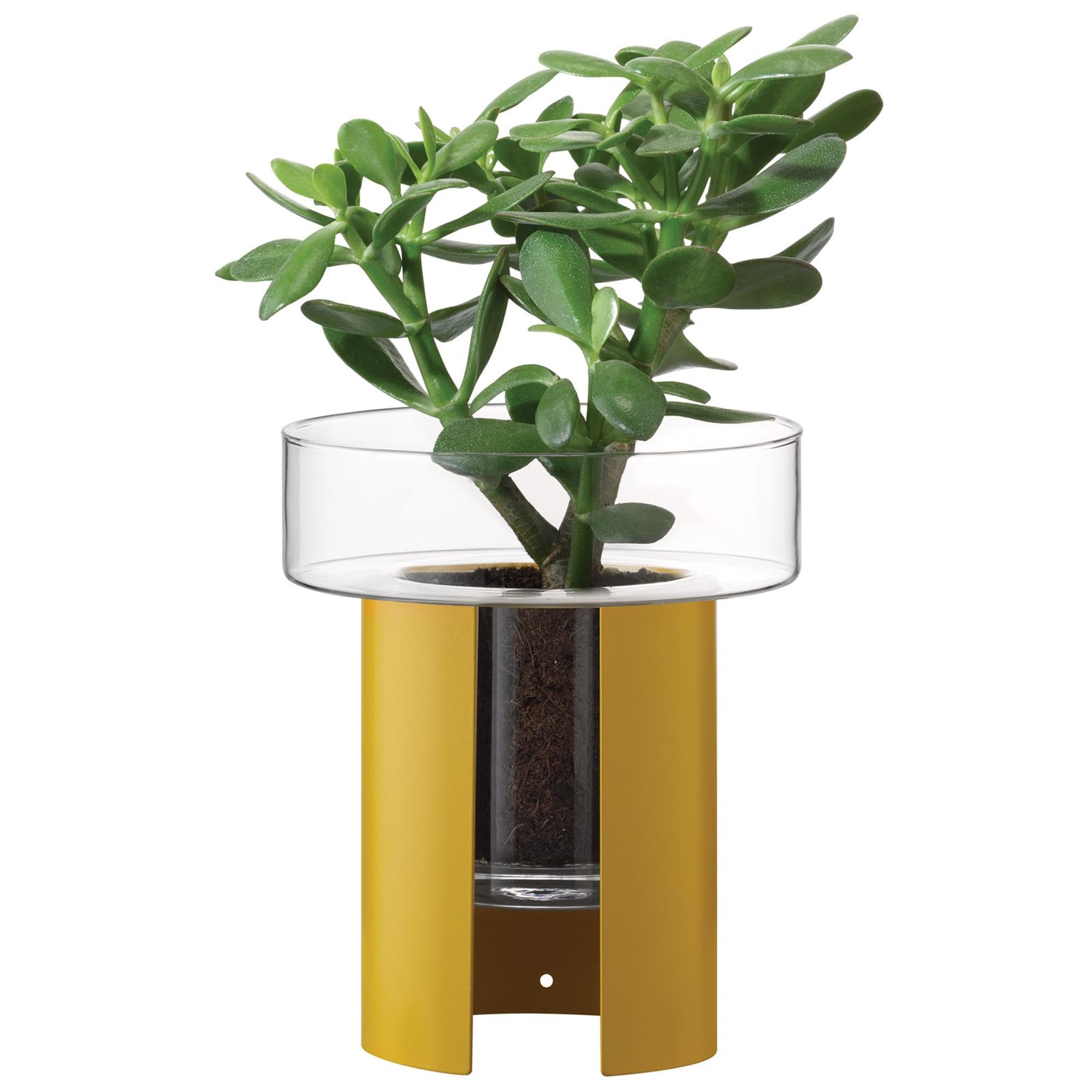 Plant pot Terrazza H22 Ø19 cm clear/mustard yellow