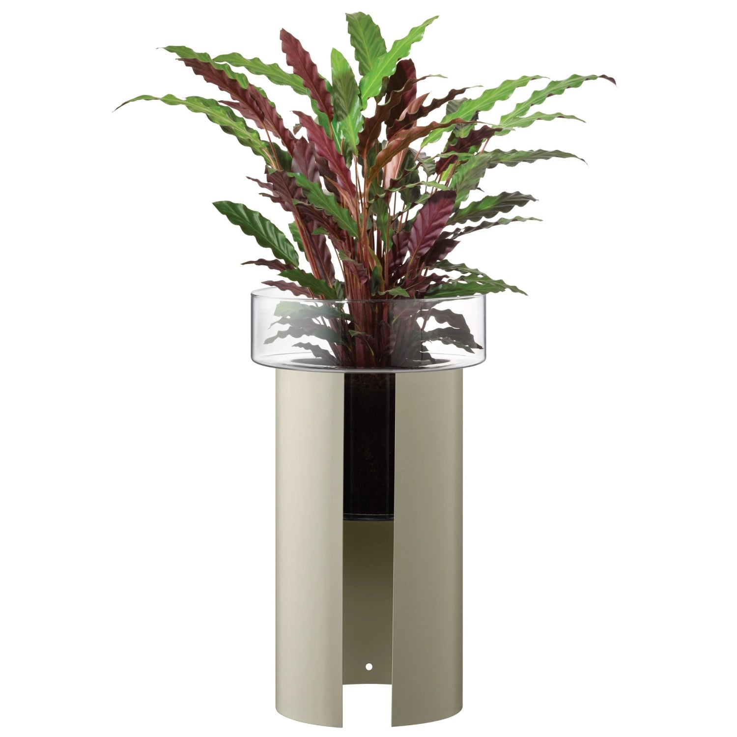 Plant pot Terrazza H60 Ø34 cm clear/concrete