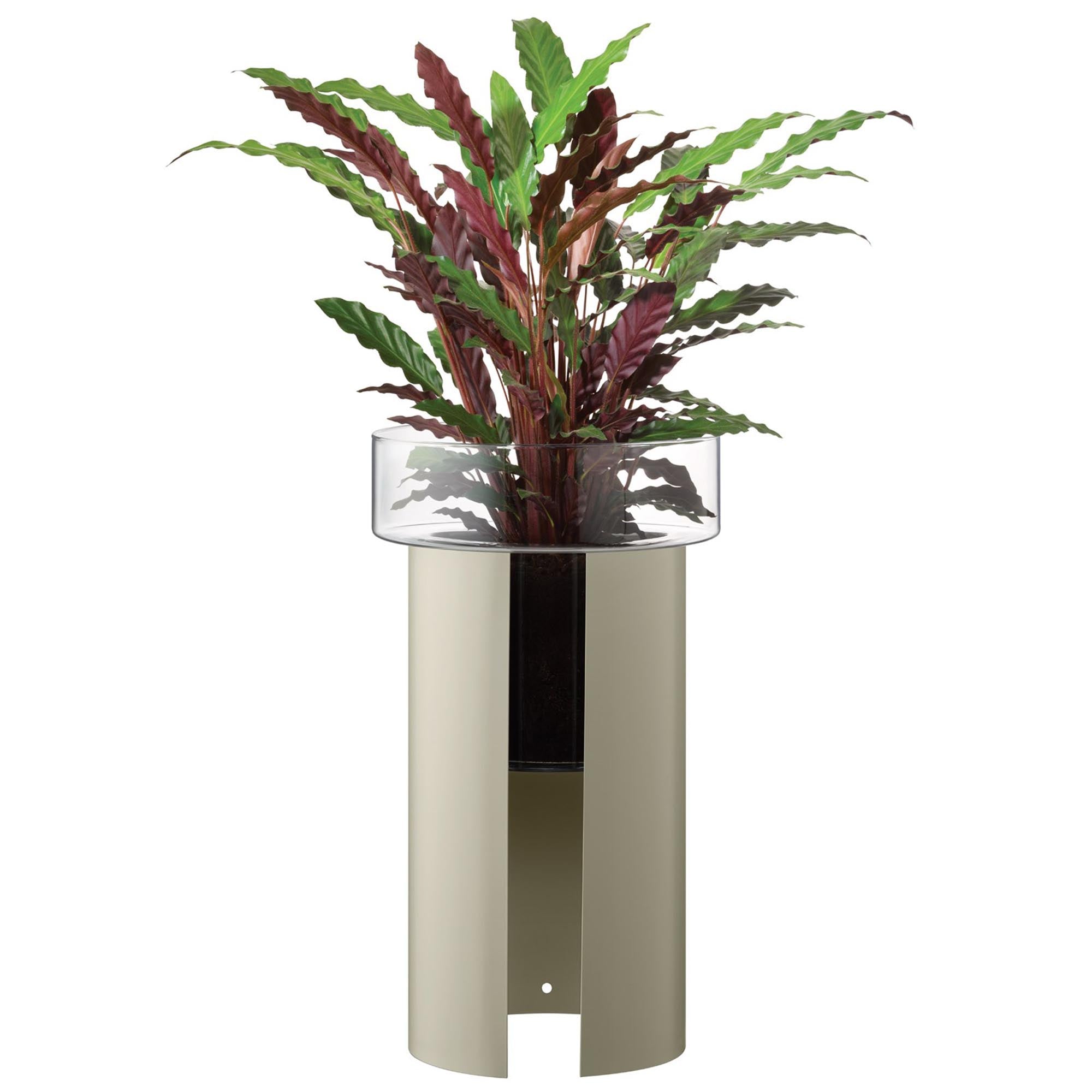 Plant pot Terrazza H60 Ø34 cm clear/concrete