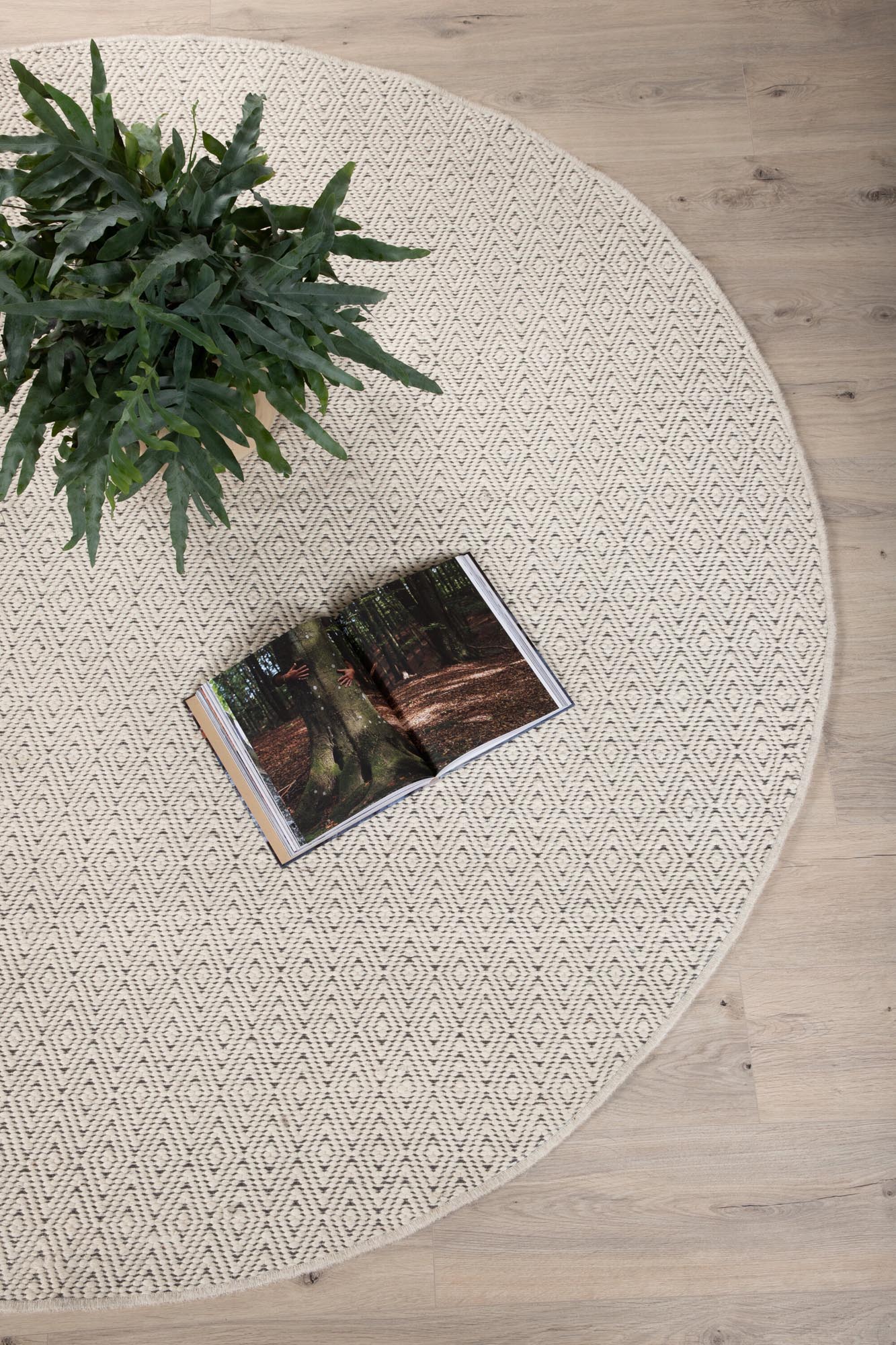 Julana Teppich in Beige präsentiert im Onlineshop von KAQTU Design AG. Teppich ist von Venture Home