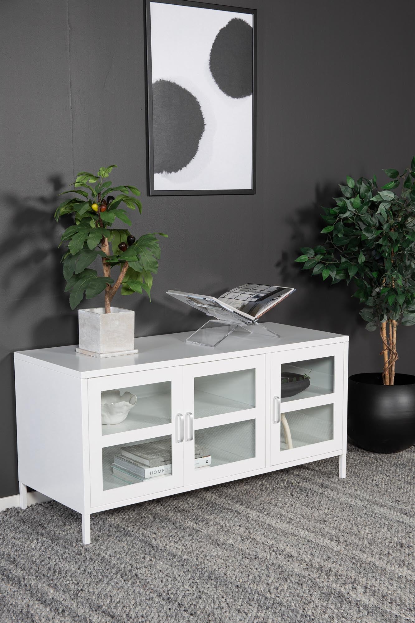 Moderner TV-Ständer aus robustem Stahl mit Glastüren. Ideal für stilvolle Wohnzimmer und optimalen Stauraum.