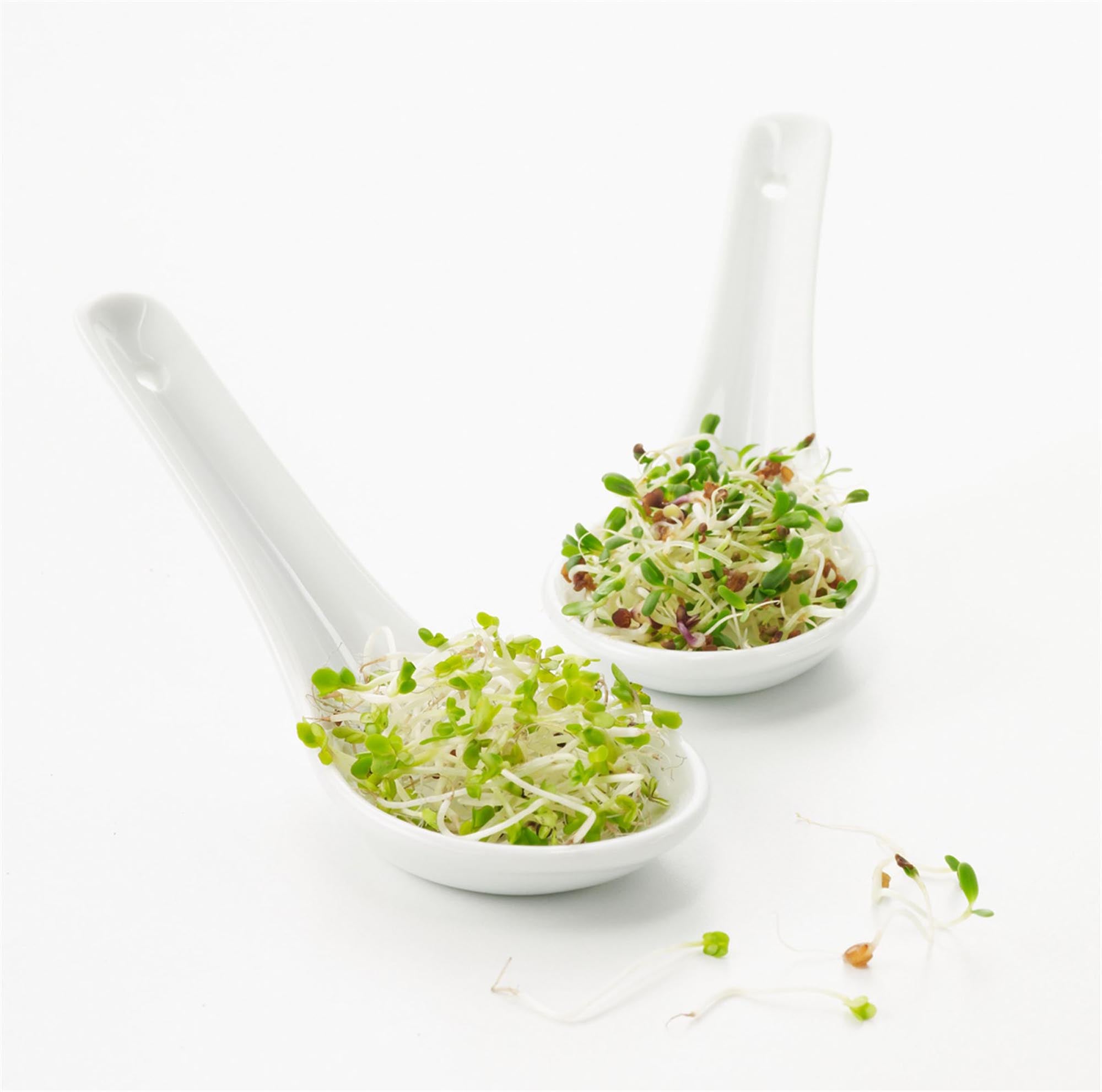 Stilvoller Revol Löffel, 13x4.5 cm, aus weissem Porzellan.