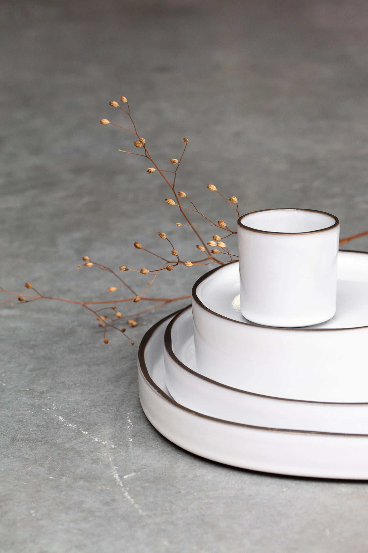 Erleben Sie den Caractère Gourmetteller von Revol, Ø23cm, in elegantem Muskatnuss-Design. Ideal für stilvolle Tischpräsentationen und mühelose Pflege.