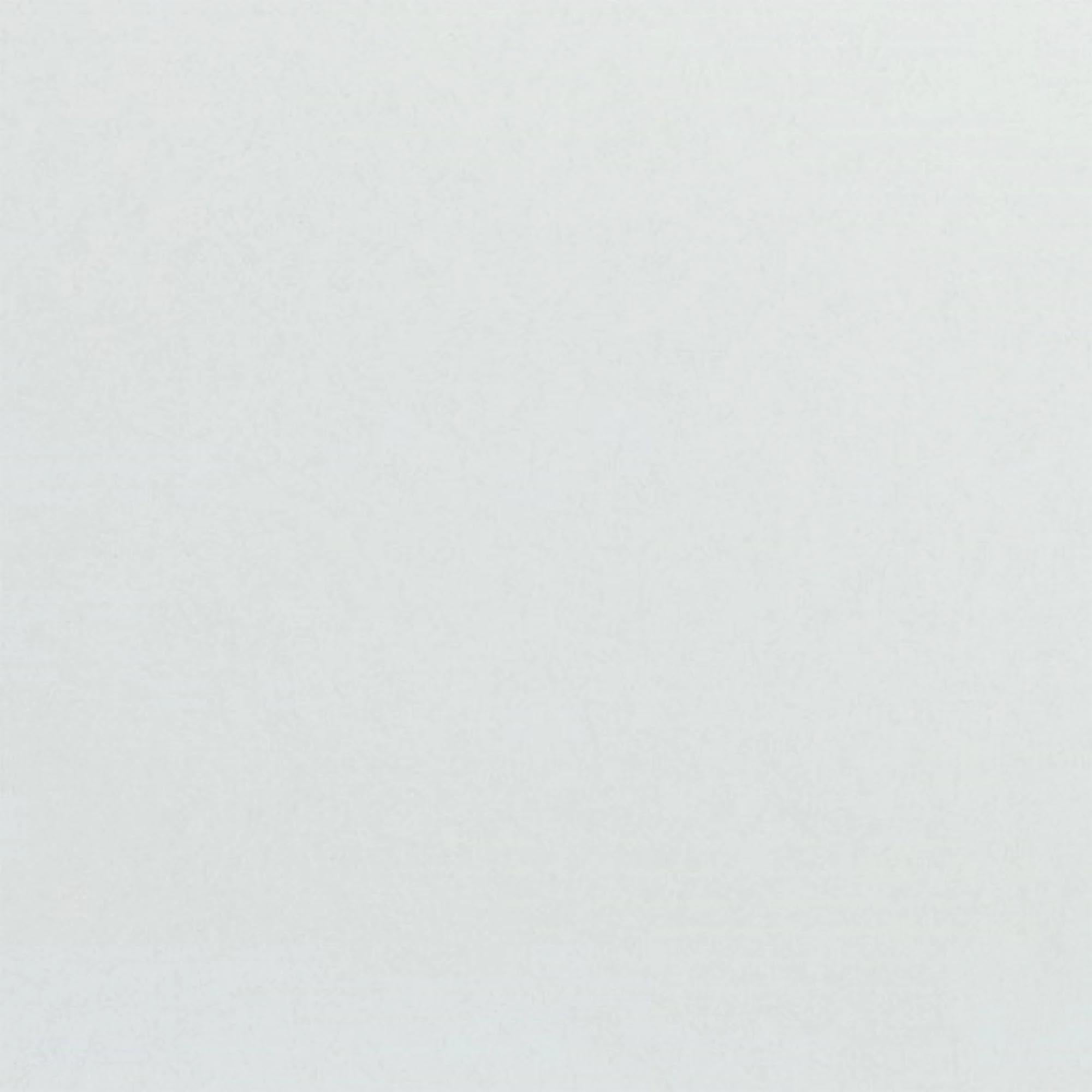 Stilvolles Euronorm Tablett, lichtgrau, 53x37cm von Roltex.