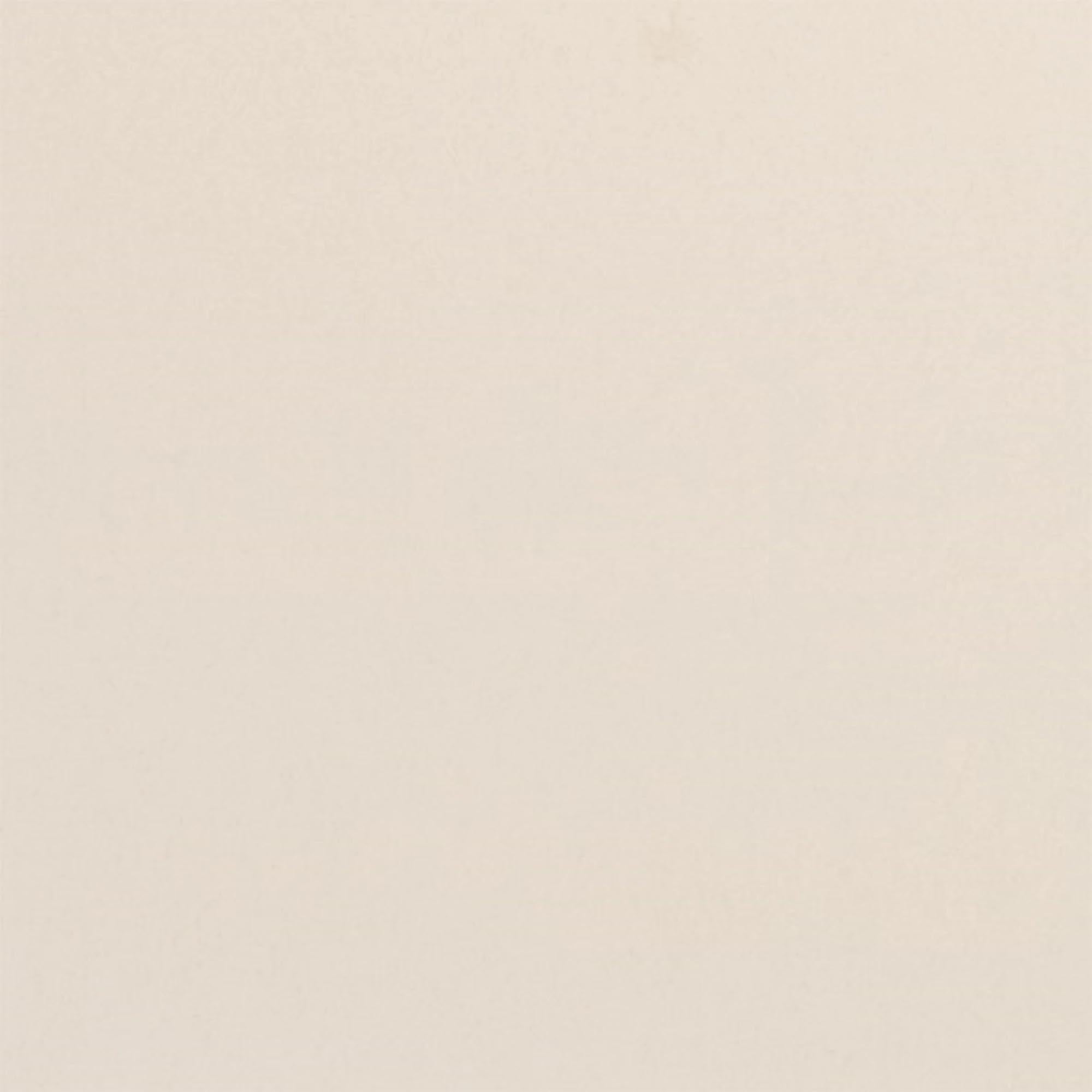 Elegantes, stabiles Tablett (53x37cm) aus Glasfaser-Polyester, ideal für Gastronomie. Perlweiss, hitzebeständig, leicht zu reinigen.