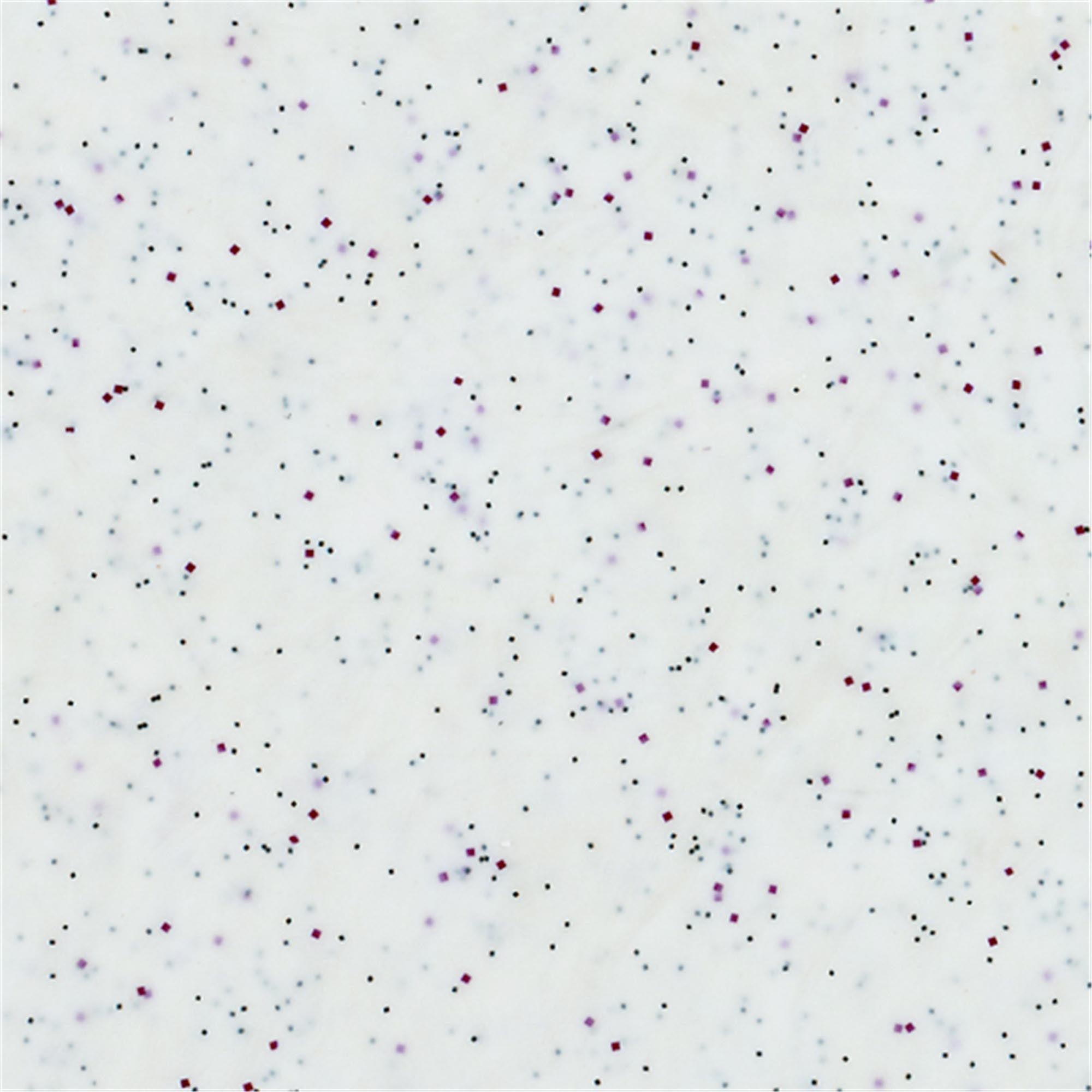 Hochwertiges Euronorm Tablett 53x37cm, ideal für Profiküchen.