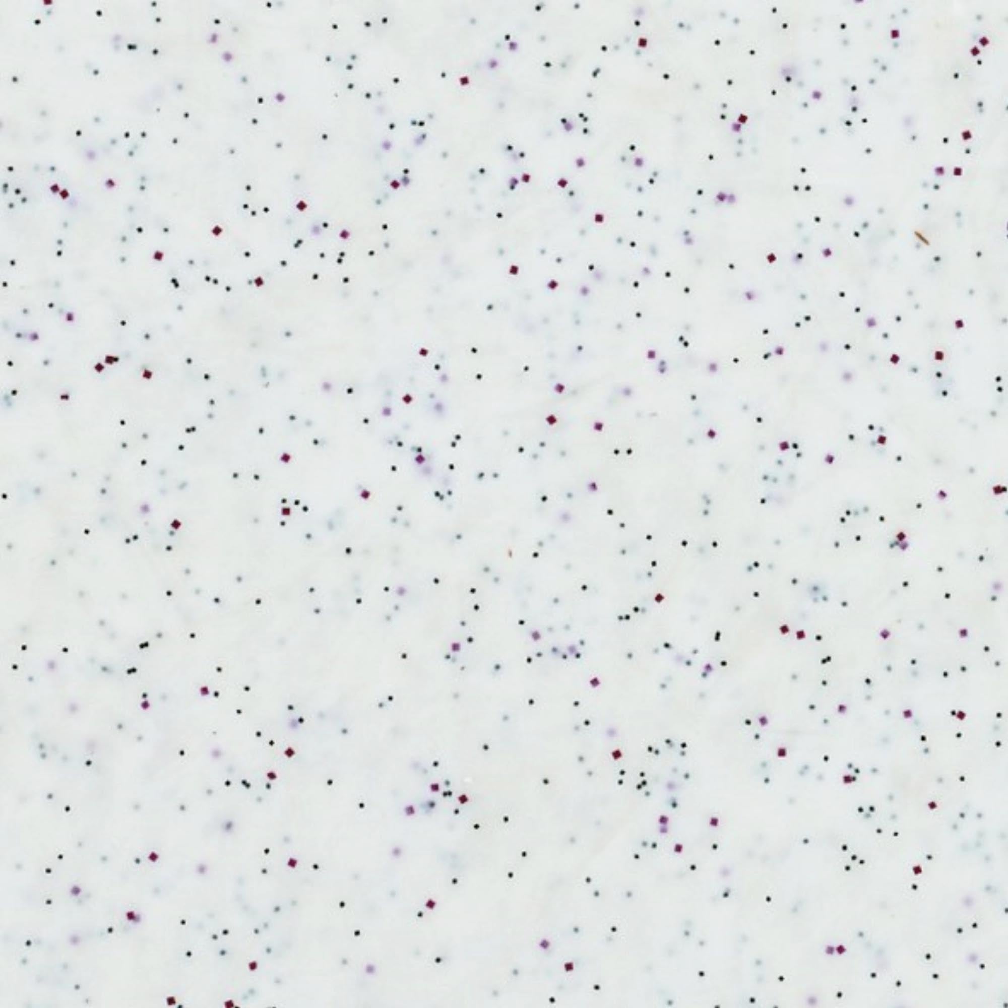 Robustes, hitzebeständiges Tablett (45x32cm) aus Glasfaser-Polyester, ideal für Gastronomie und Catering, leicht zu reinigen.