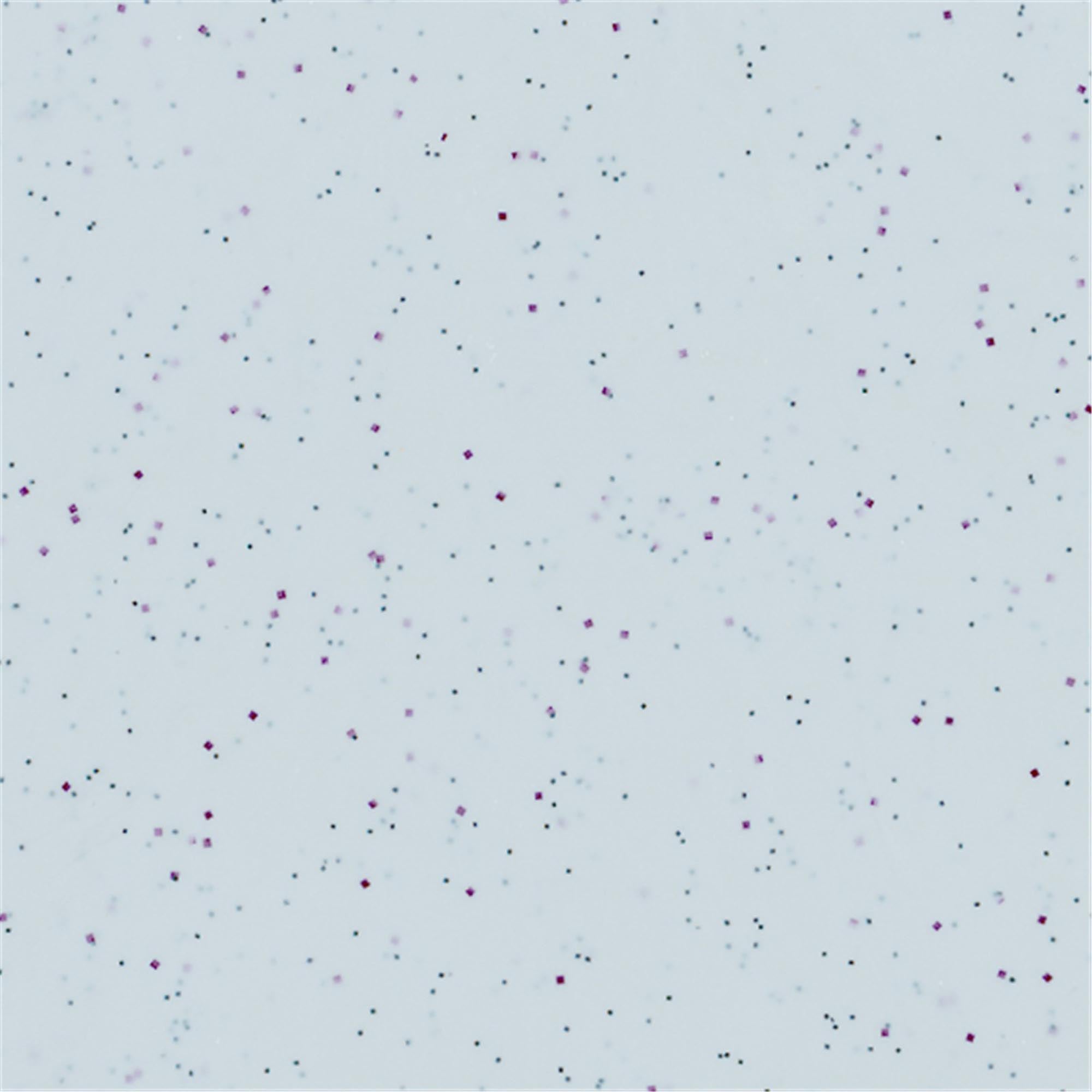 Elegantes Roltex Tablett 45x32cm, perfekt für stilvolle Serviermomente.