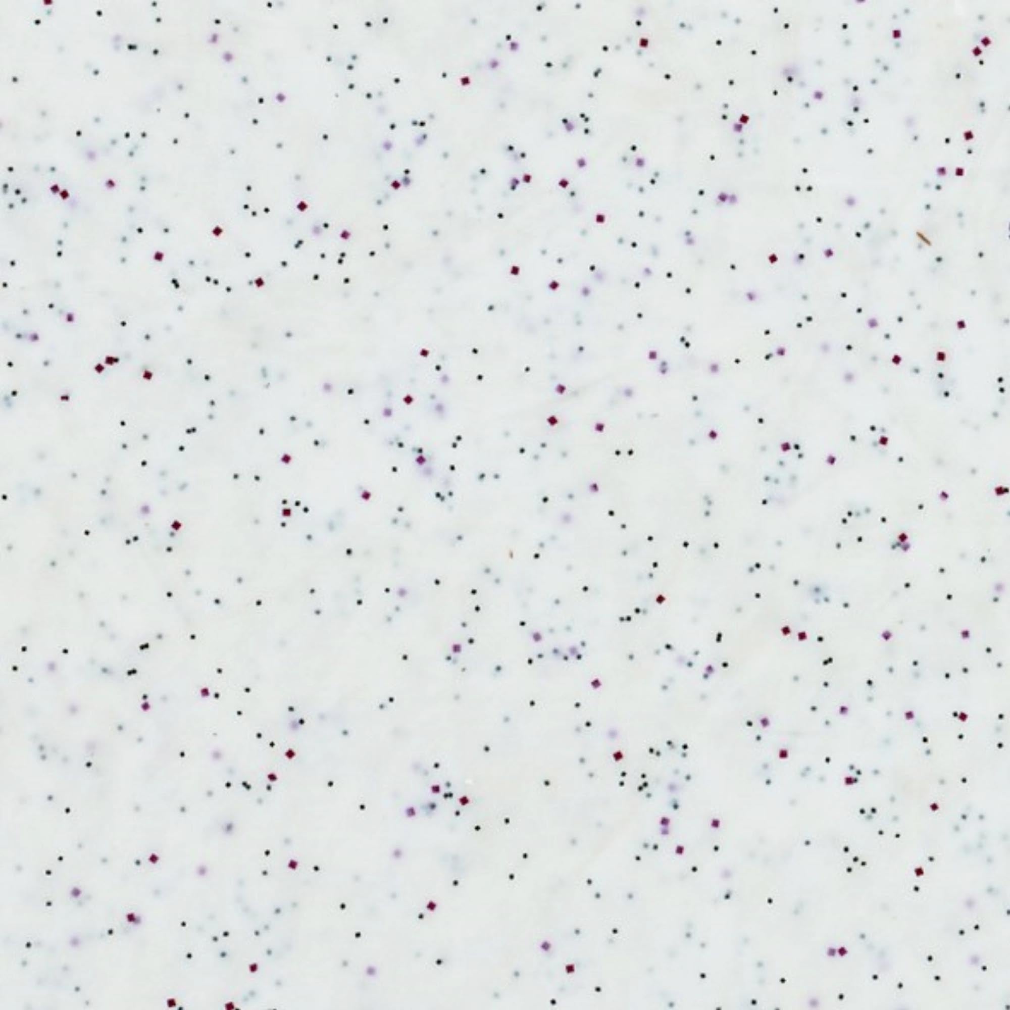 Robustes Tablett Rocca Weiss 46x36cm von Roltex für Profis.