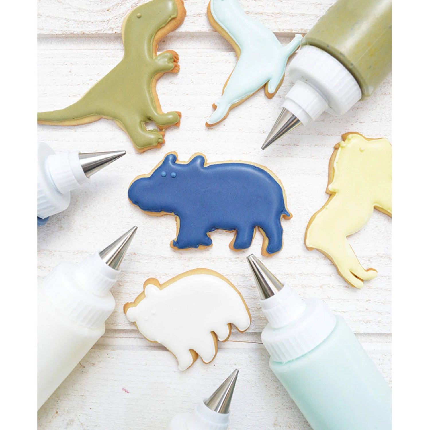 Set of 2 squeeze bottles with 2 piping nozzles for icing