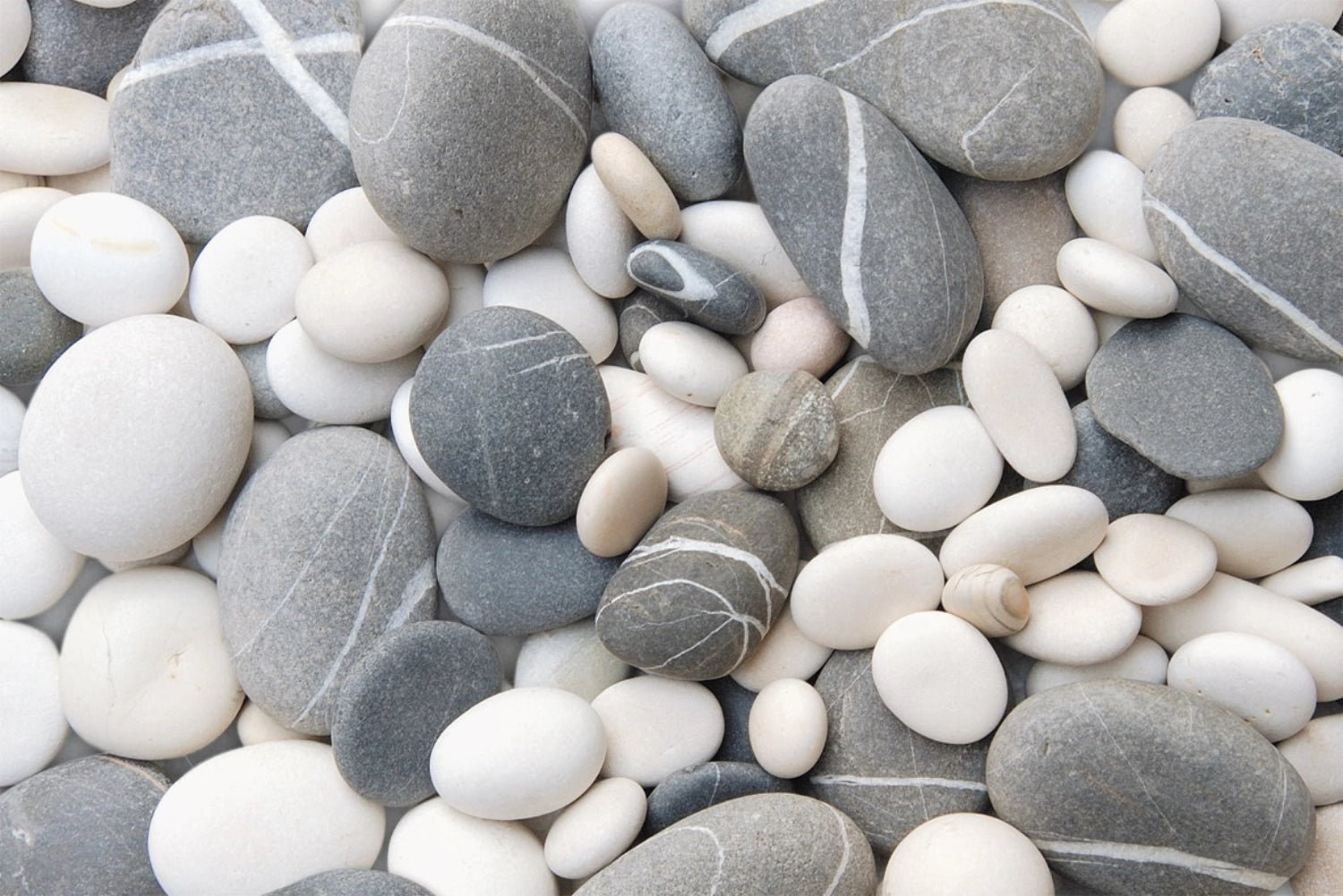 Vassoio di pietra m. Griffen 40x27cm