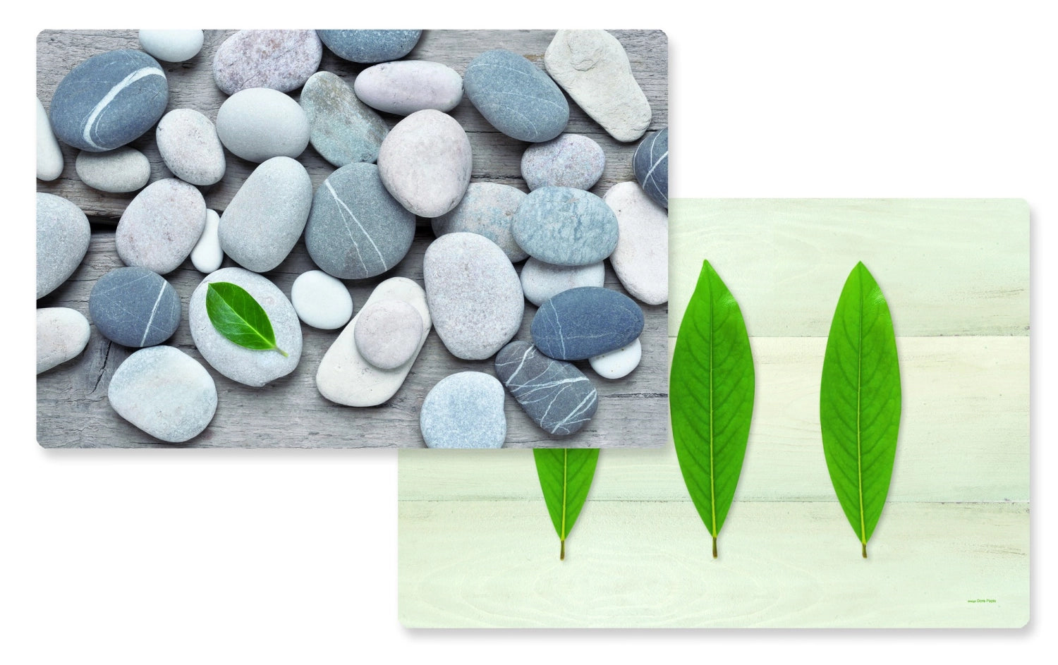 Table des feuilles/pierres Double-version 45x30 cm