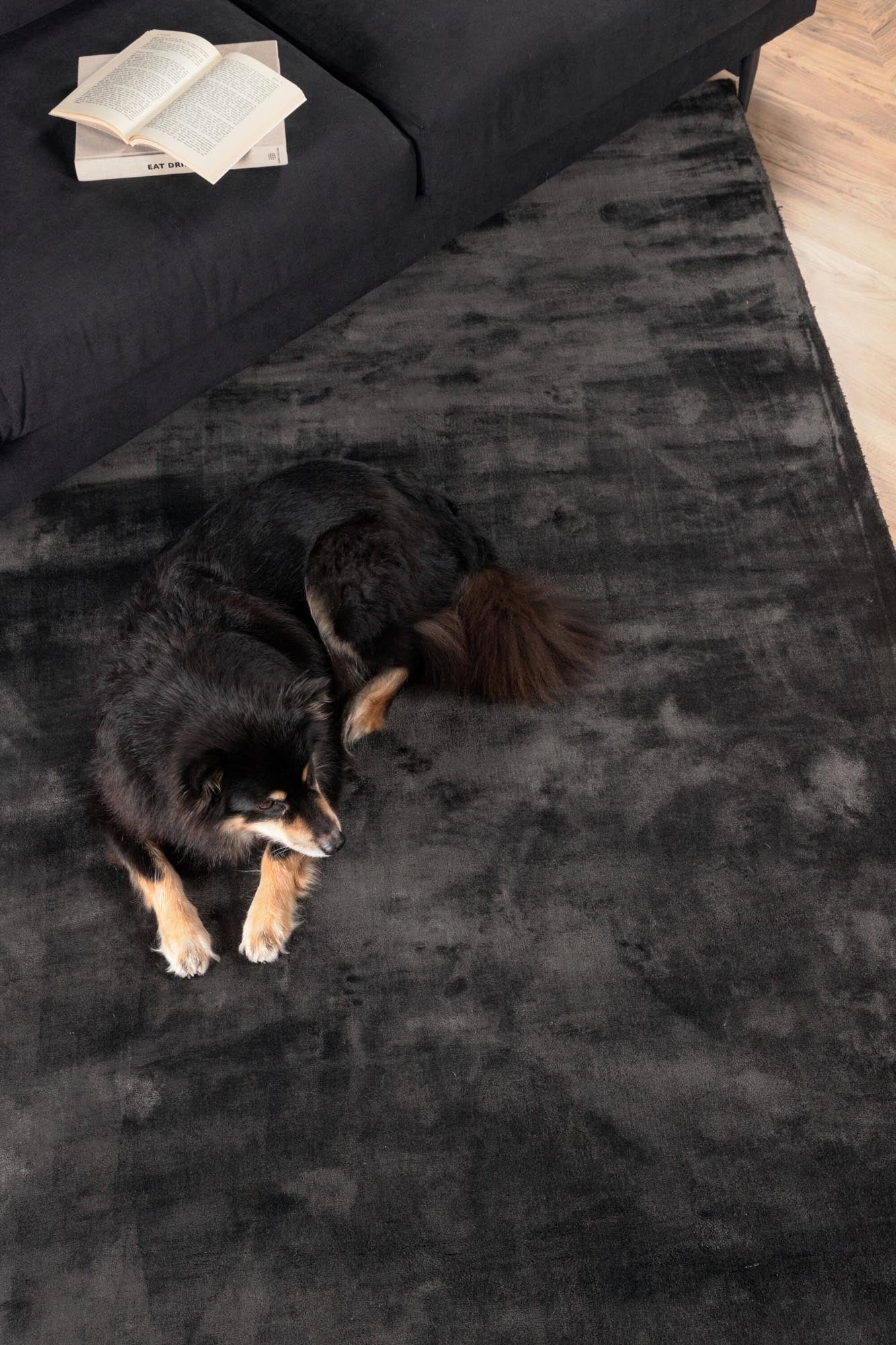 Indra Teppich von Venture Home: Eleganz und Komfort vereint.