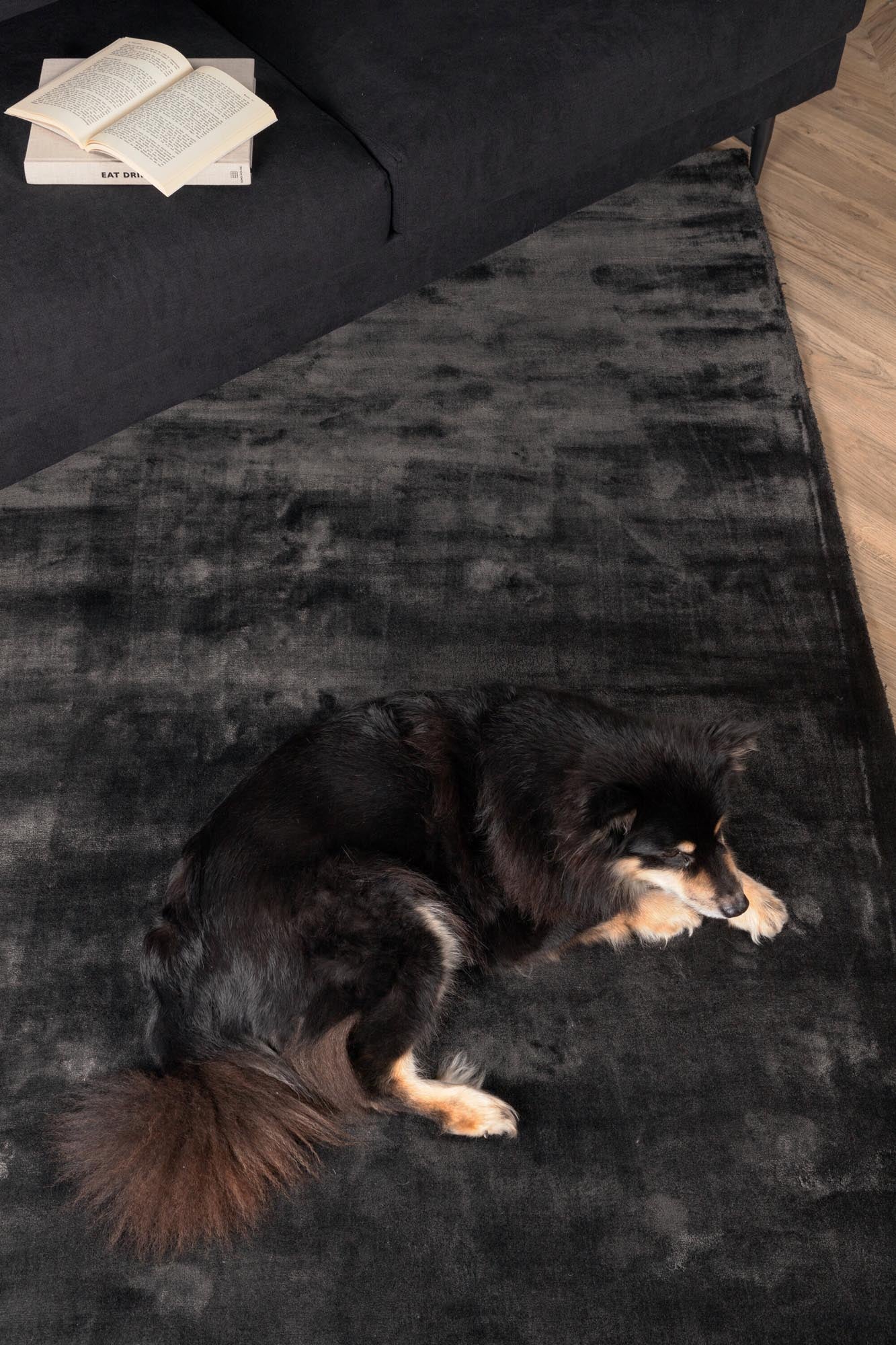 Indra Teppich von Venture Home: Hochwertige Viskose, stilvolles Design und vielfältige Farben für ein einladendes Zuhause.