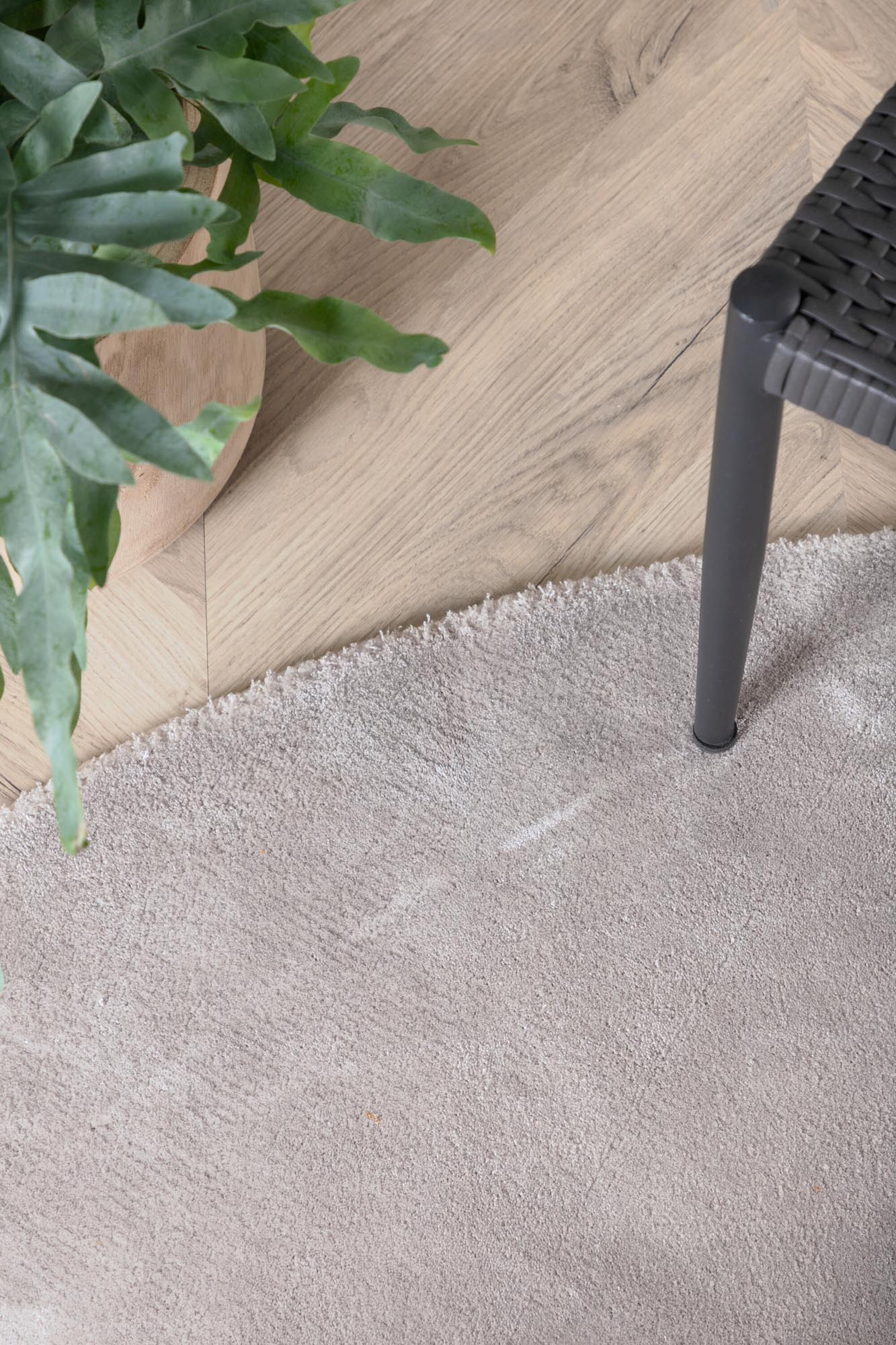 Erleben Sie den Indra Teppich von Venture Home – ein elegantes Designstück, das jedem Raum eine besondere Atmosphäre verleiht.