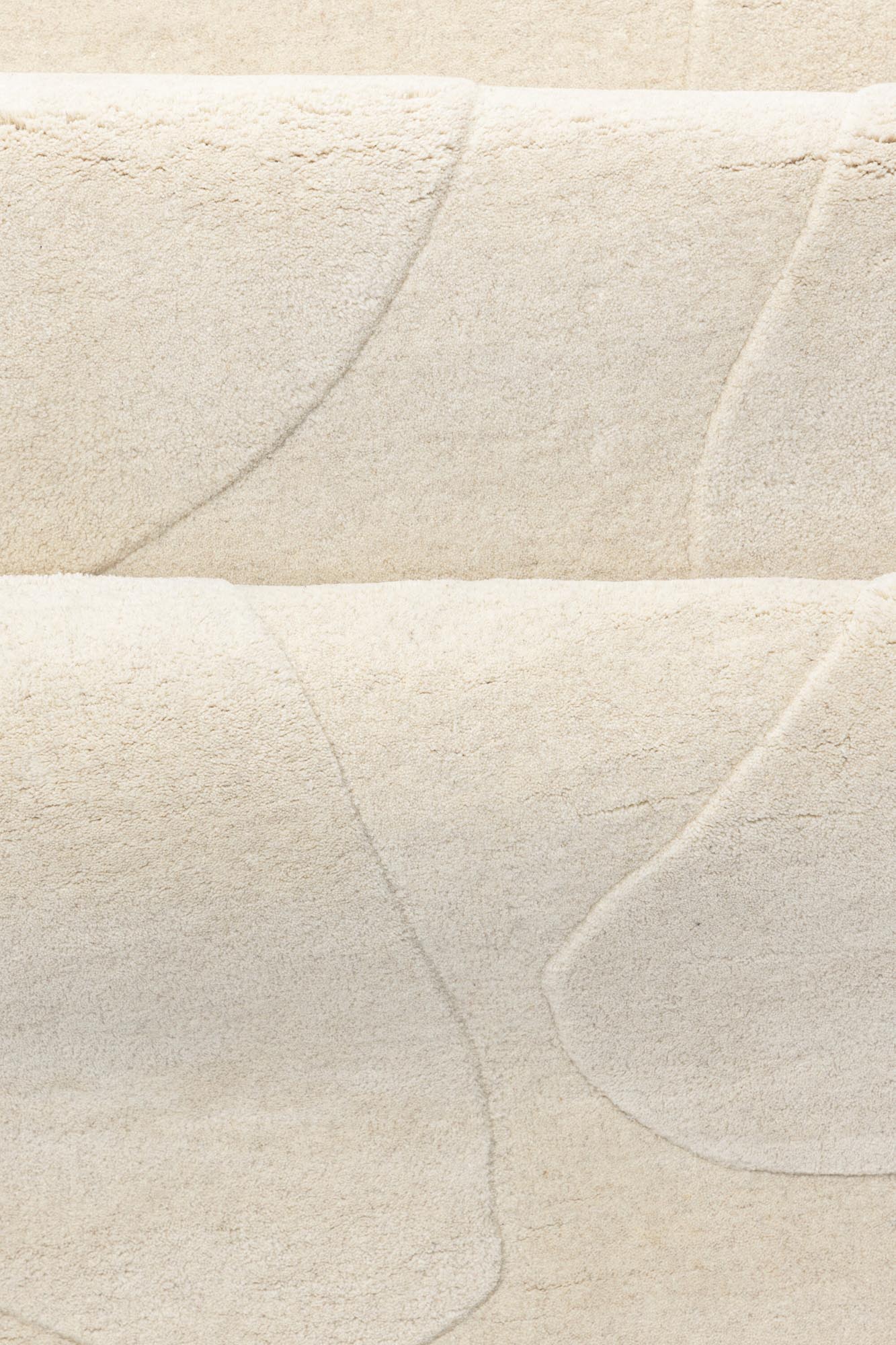 Eleganter Enard-Teppich von Venture Home in tiefem Schwarz.