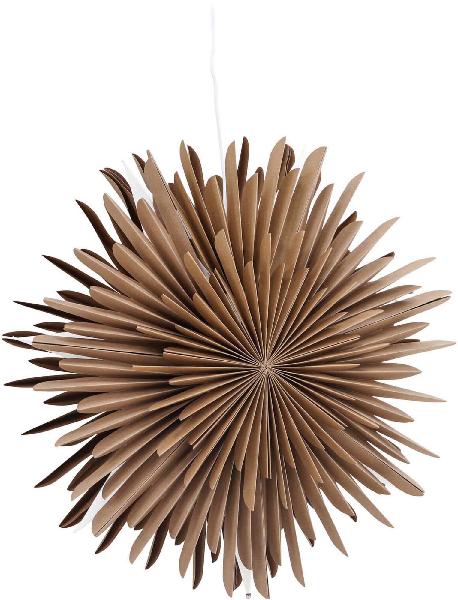 Moderne Siegel Pendelleuchte von Venture Home für zeitlose Eleganz.