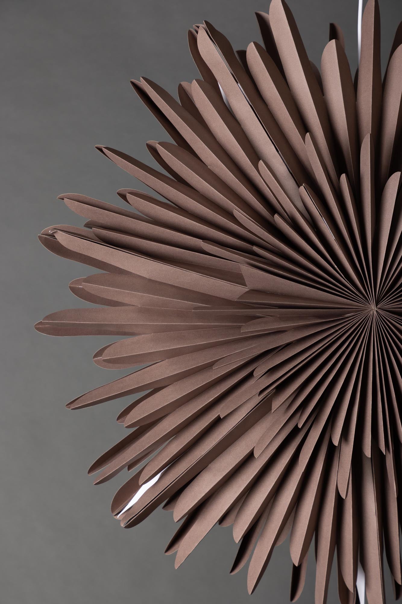 Entdecken Sie die Siegel Pendelleuchte von Venture Home: Ein eleganter Papierstern, der mit seiner faszinierenden Lichtstreuung und harmonischem Design jeden Raum in eine festliche Oase verwandelt.