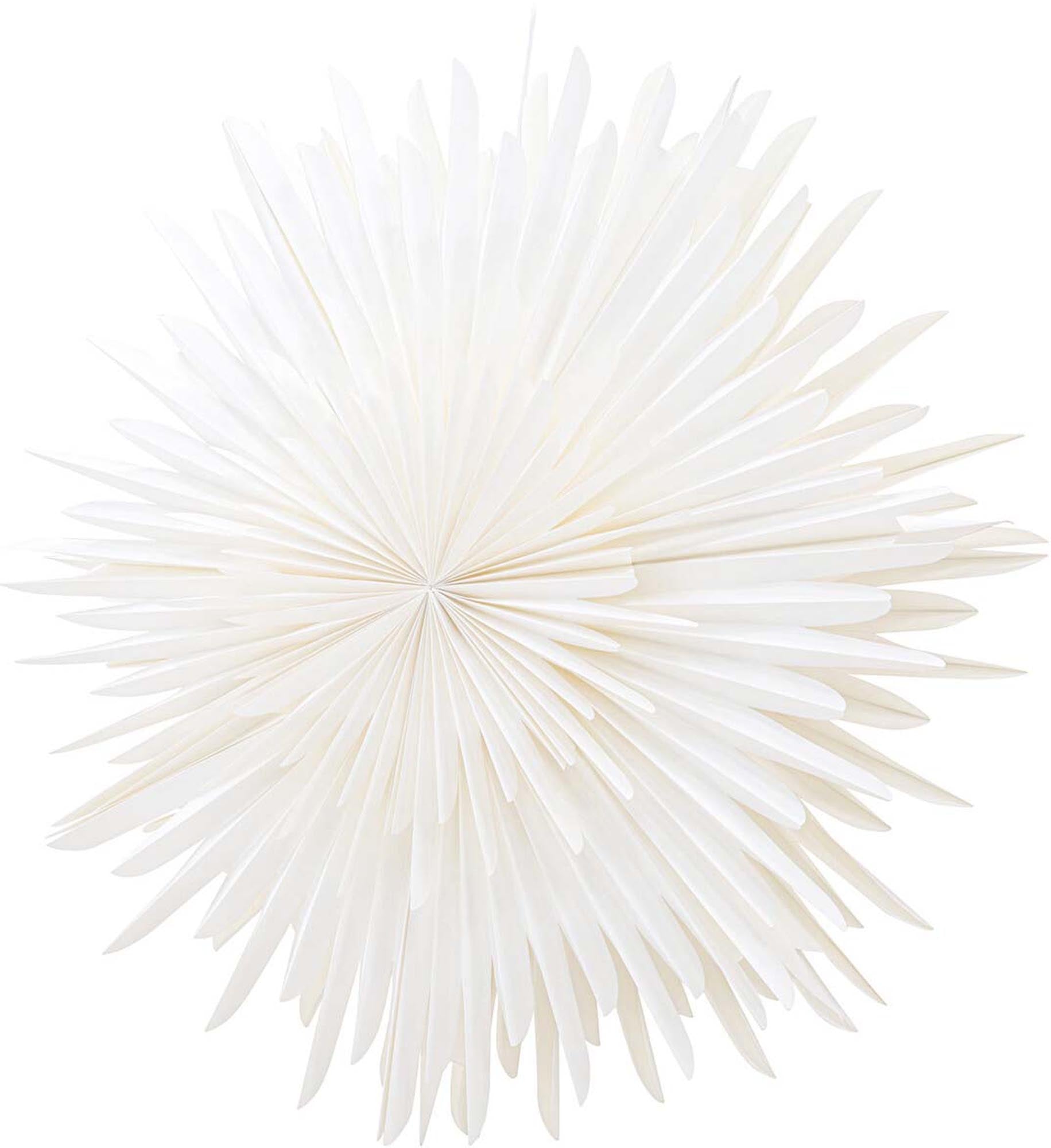 Elegante Siegel Pendelleuchte von Venture Home für stilvolle Räume.