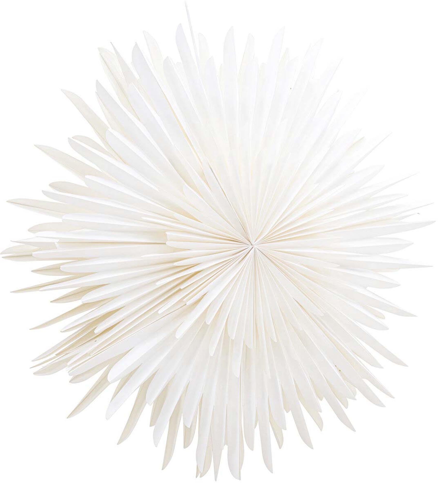 Moderne Siegel Pendelleuchte von Venture Home für zeitlose Eleganz.