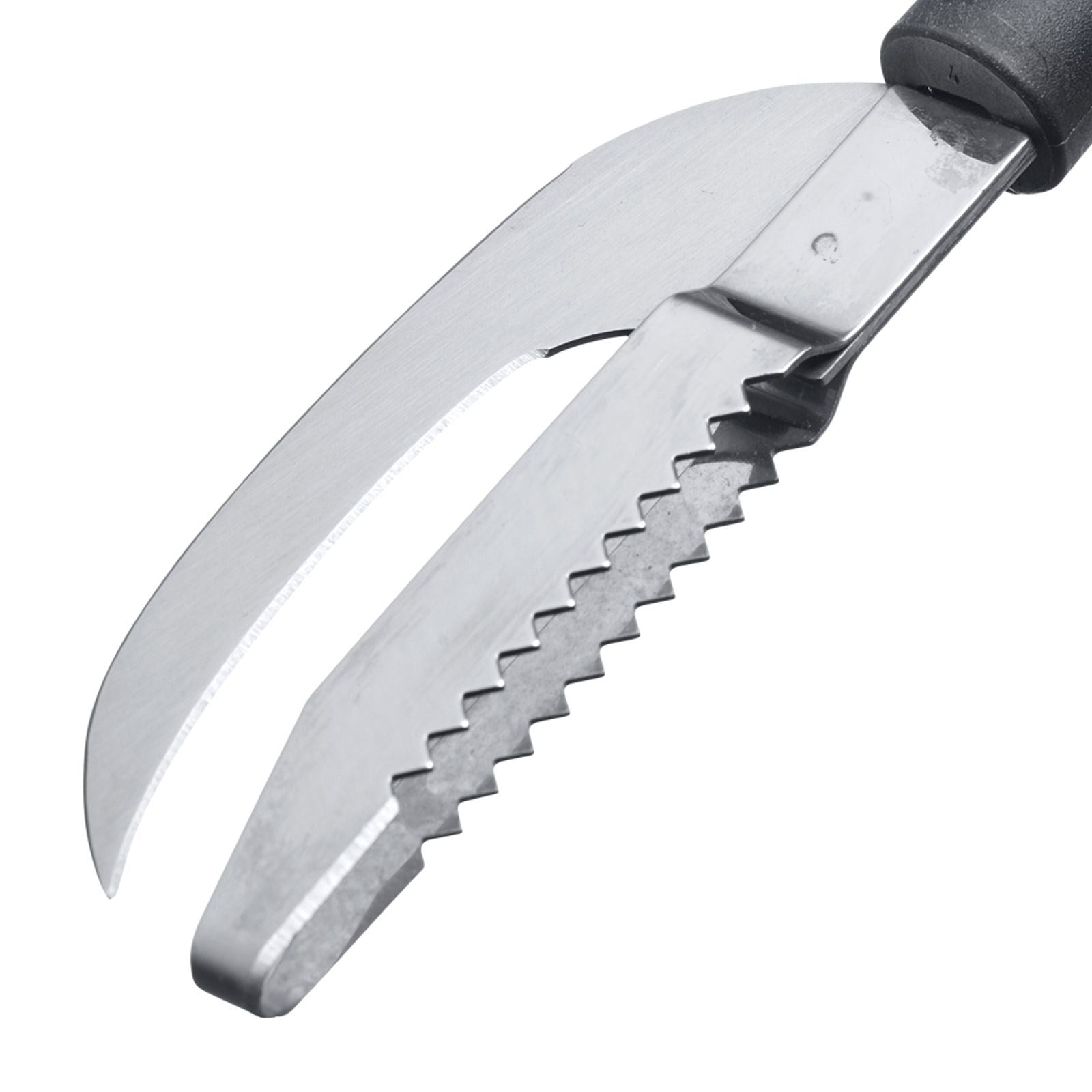 Das Westmark Gallant Fischwerkzeug: Praktisches 2in1 Tool zum Schuppen und Ausnehmen von Fisch, robust, ergonomisch und ideal für die Küche.