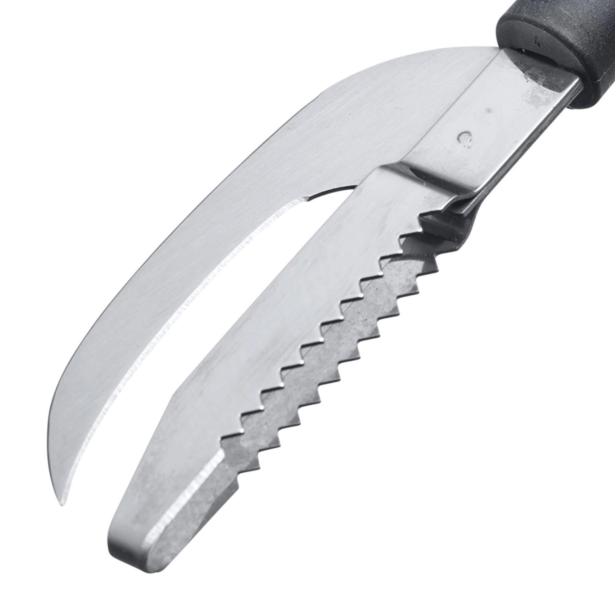 Das Westmark Gallant Fischwerkzeug: 2in1 Funktion für Schuppen und Ausnehmen, ideal für die Fischzubereitung, robust und praktisch.