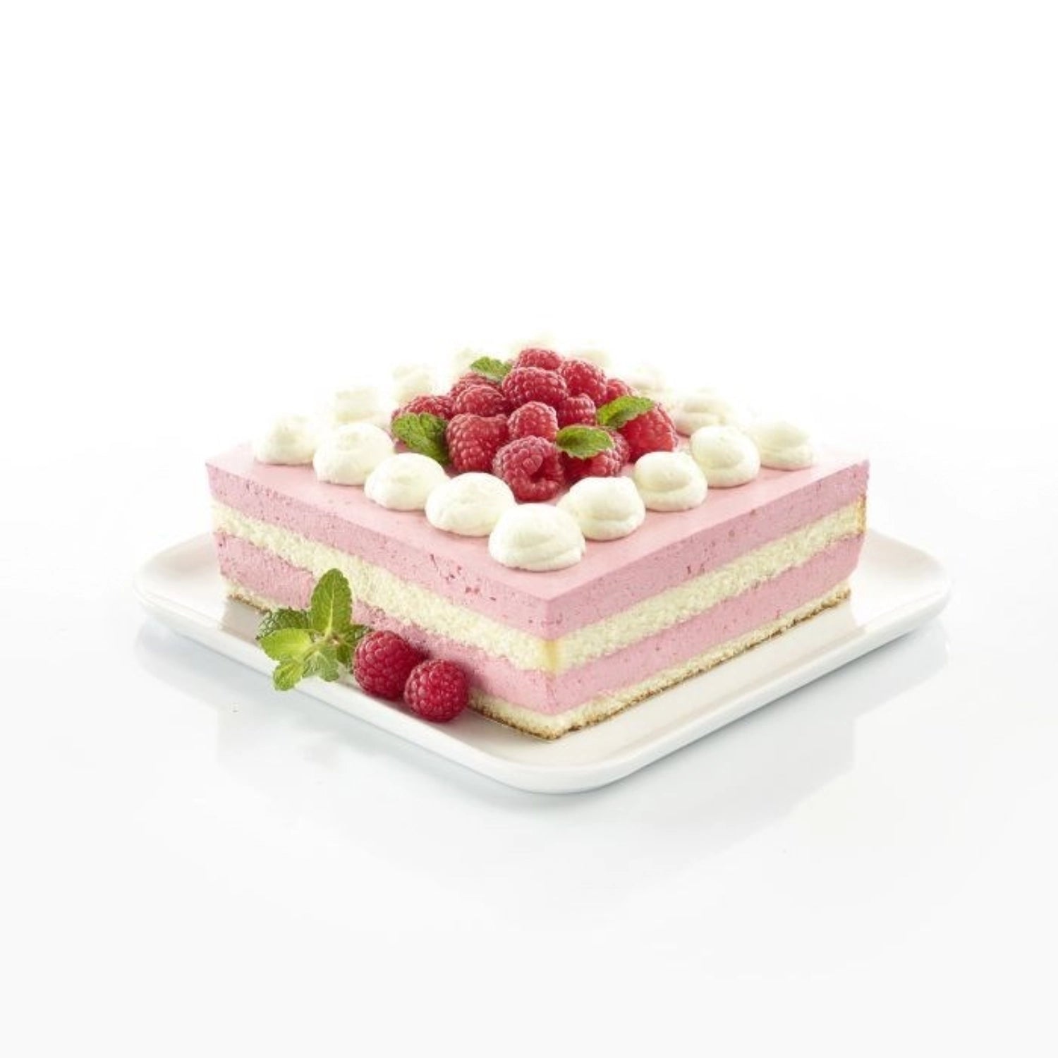 Frame posteriore, quadrato, regolabile, 15x15x8cm