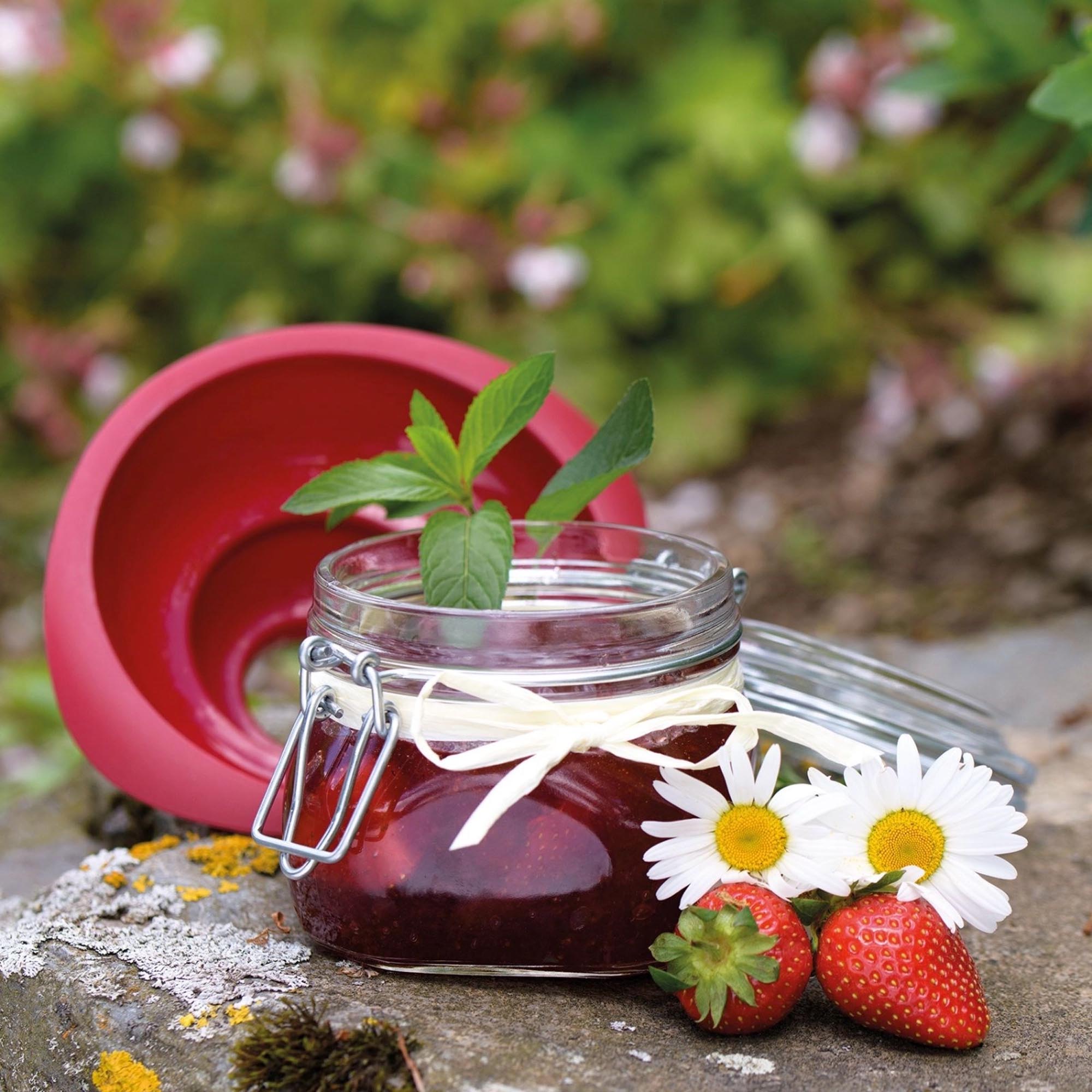 500ml Drahtbügelglas von Westmark, ideal zum Einmachen und Aufbewahren, mit robustem Bügelverschluss und 90mm Durchmesser.