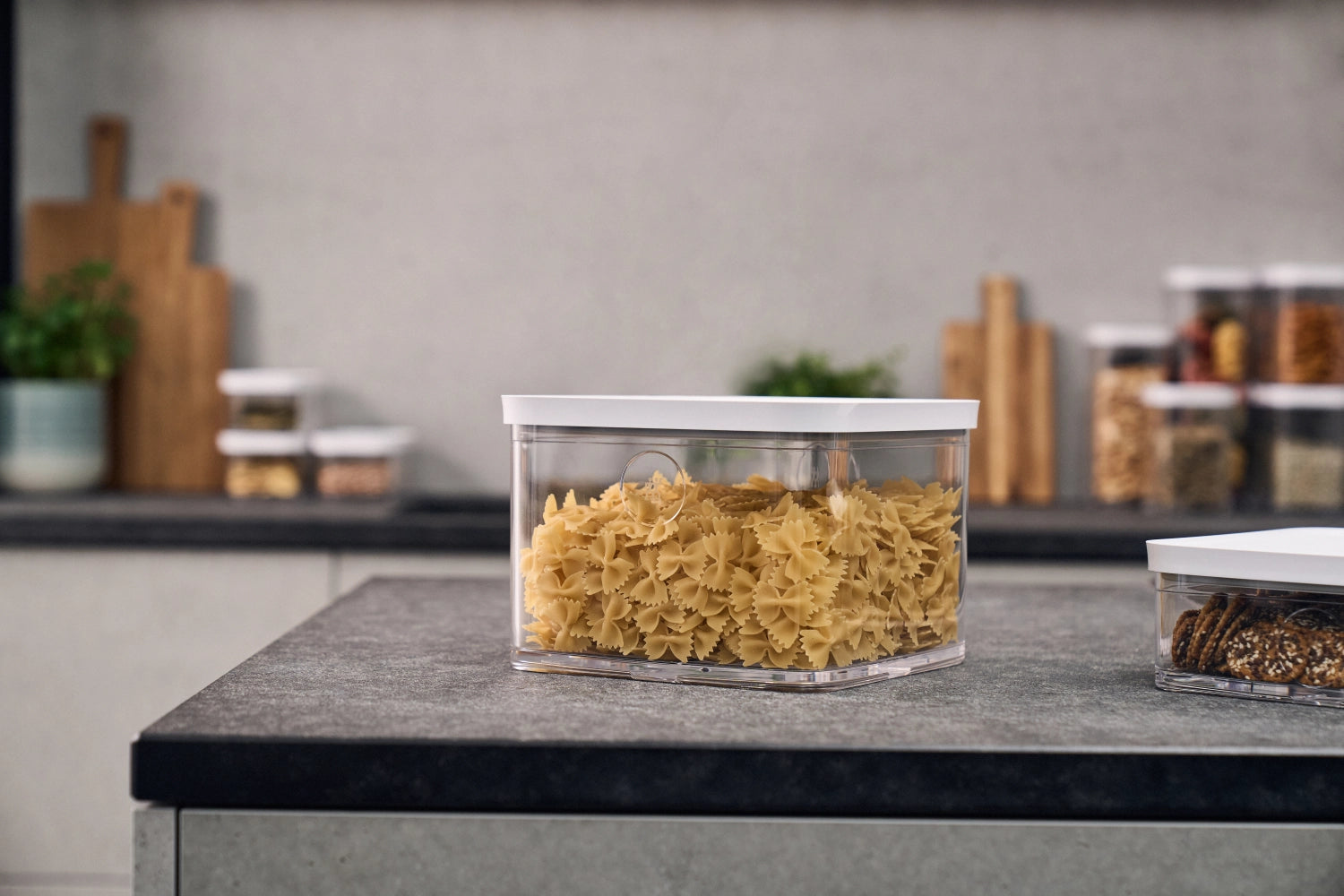 Fresh & Save CUBE Box 2l, blanc transparent