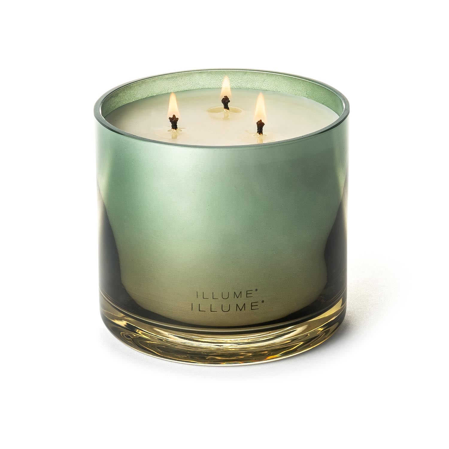 Hinoki Sage Statement Glas Kerze, Grün, in Grün präsentiert im Onlineshop von KAQTU Design AG. Duftkerze ist von Illume