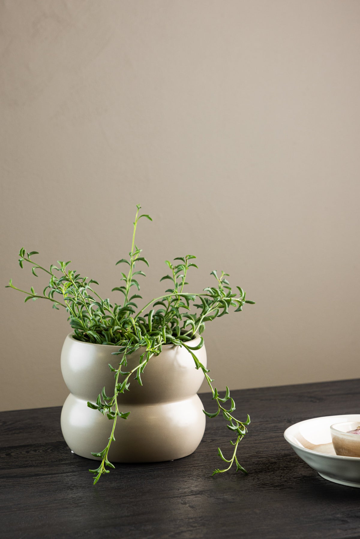 Dapne Vase von Venture Home aus Steinzeug in Schwarz-Weiss, rundliche Form mit einem Durchmesser von 16 cm und einer Höhe von 13 cm.