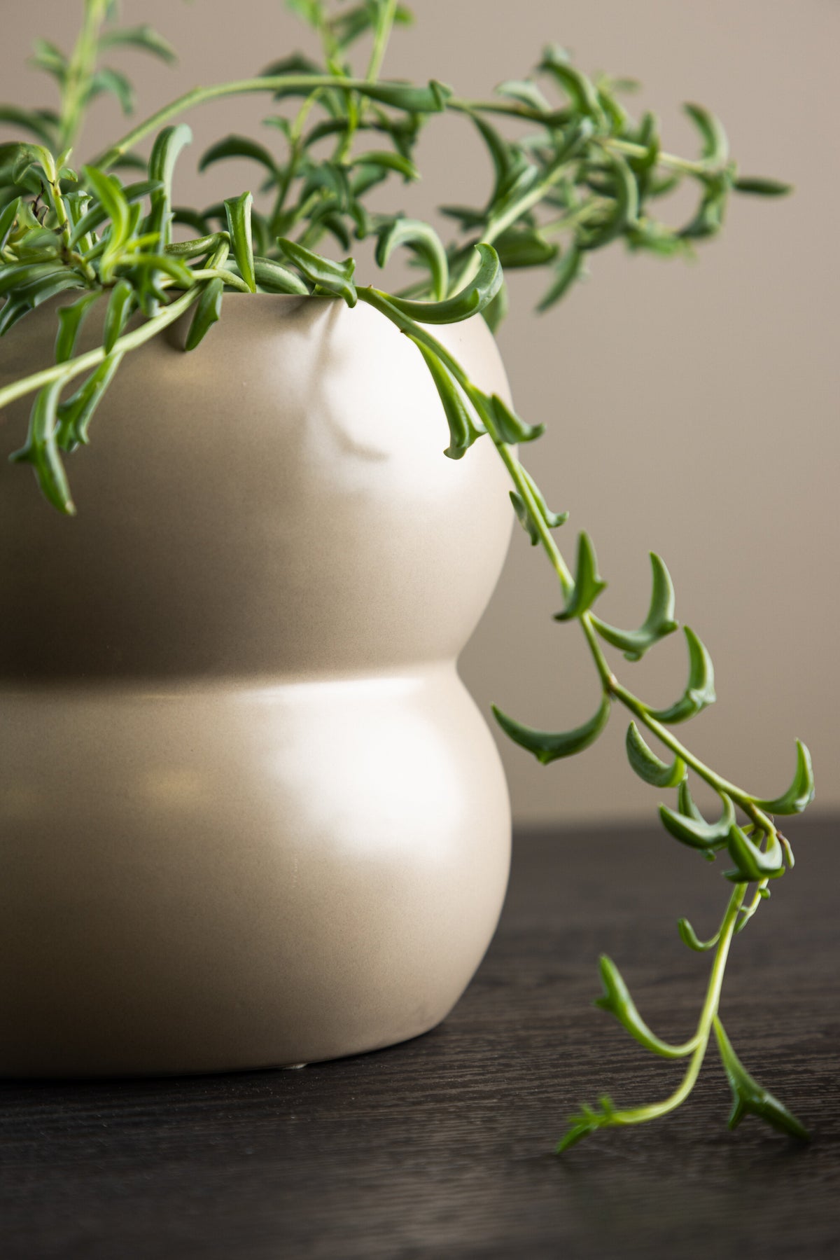 Dapne Vase von Venture Home aus Steinzeug in Schwarz-Weiss, rundliche Form mit einem Durchmesser von 16 cm und einer Höhe von 13 cm.