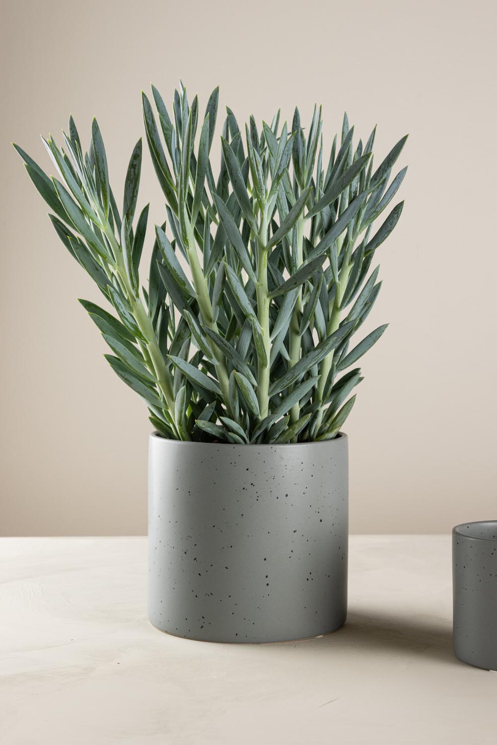 Schwarz-dunkelgraue Vase Sane aus Steinzeug mit gepunktetem Muster, rundlicher Form, Durchmesser 11 cm und Höhe 10 cm.