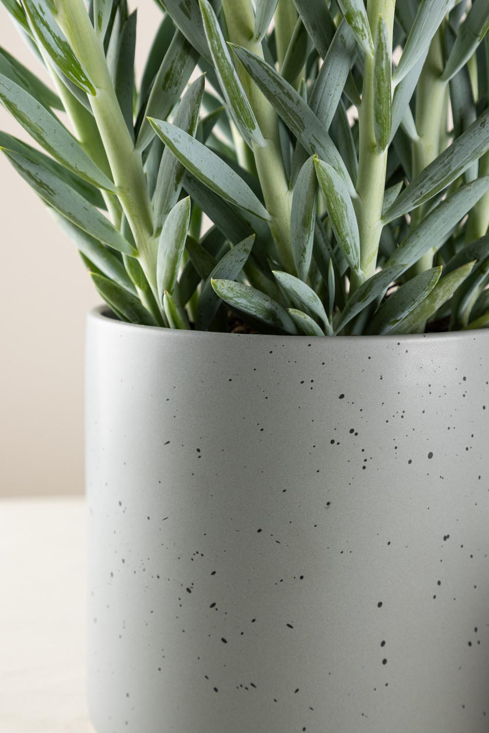 Schwarz-dunkelgraue Vase Sane aus Steinzeug mit gepunktetem Muster, rundlicher Form, Durchmesser 11 cm und Höhe 10 cm.