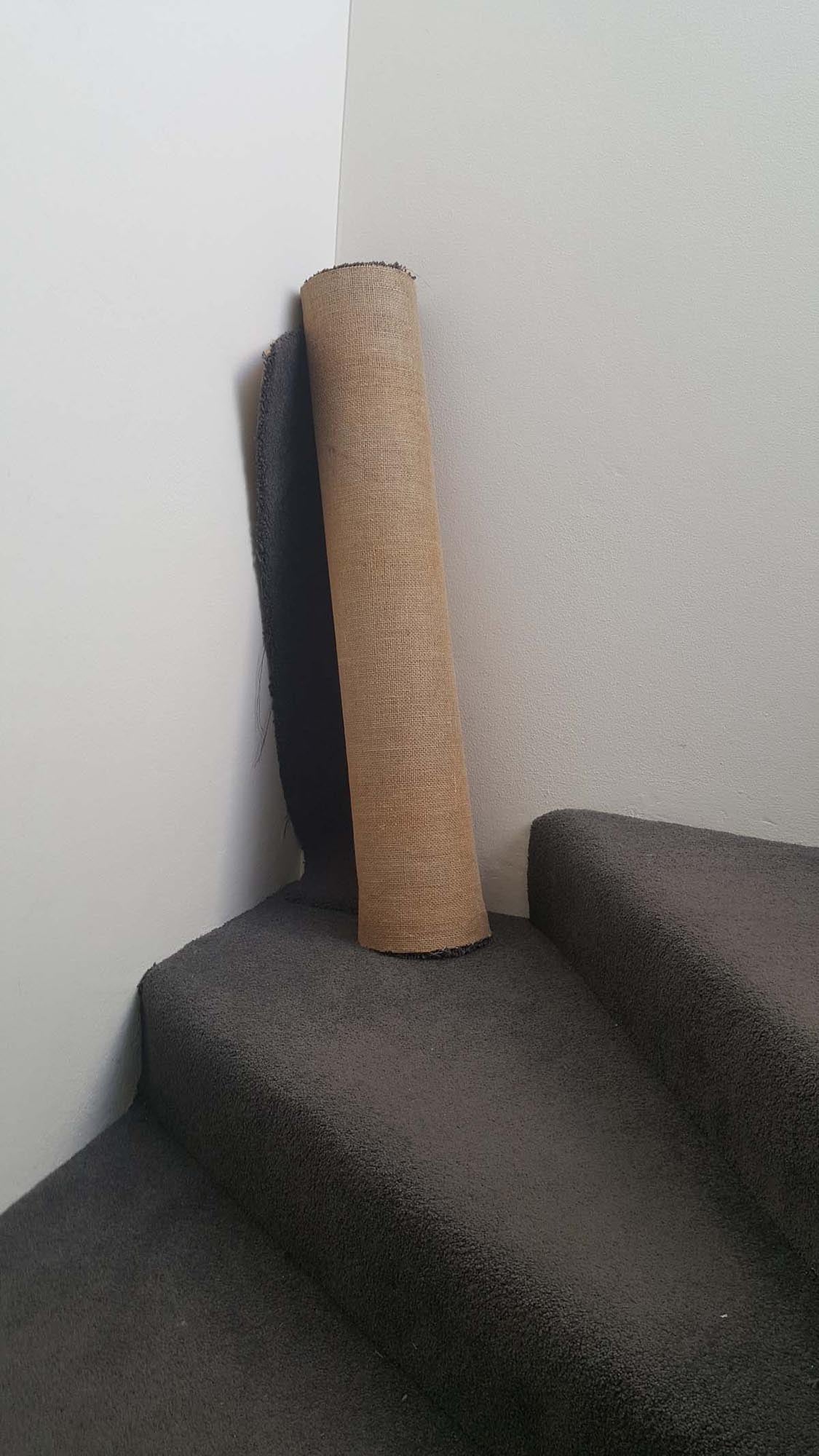 Venture Home Teppich Poster: Elegante Wanddekoration in sanften Jorne-Farben, perfekt für jedes Zuhause. Leicht aufzuhängen und vielseitig einsetzbar.