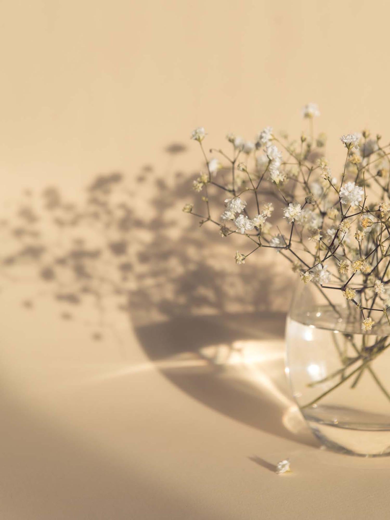 Entdecken Sie das White Flowers Poster von Venture Home: Ein stilvolles Kunstwerk mit eleganten weißen Blumen, das jedem Raum Ruhe und Eleganz verleiht.