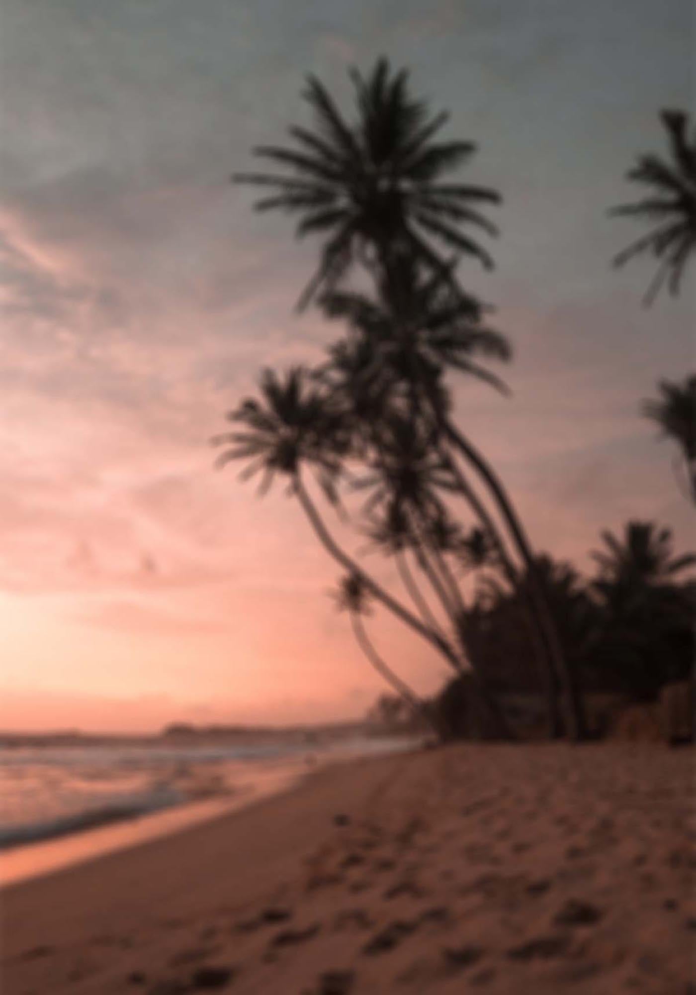 Bringen Sie die Leichtigkeit des Sommers in Ihr Zuhause mit dem Summer Poster von Venture Home – ein traumhaftes Strandmotiv für entspannte Momente.