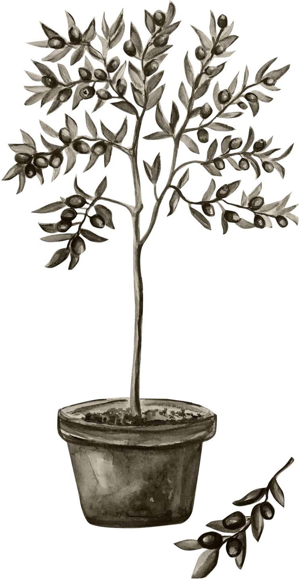 Olive Poster von Venture Home: Eleganz und Natur für Ihre Wände.