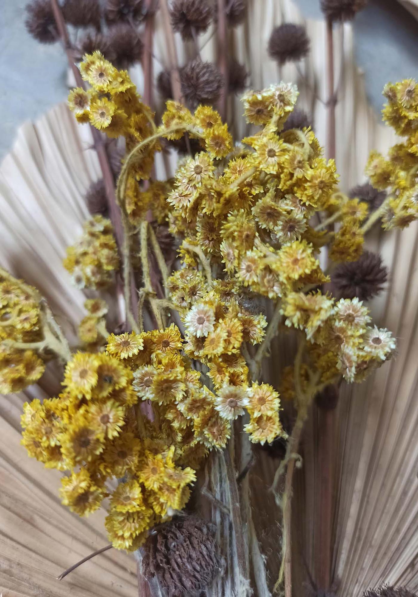 Bouquet Poster von Venture Home: Ein lebendiges Kunstwerk, das Räume erhellt. Umweltfreundlich, ideal für Wohn- und Arbeitsbereiche.