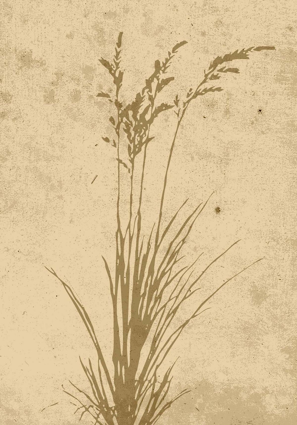 Plant Art Poster in Beige präsentiert im Onlineshop von KAQTU Design AG. Bild ist von Venture Home