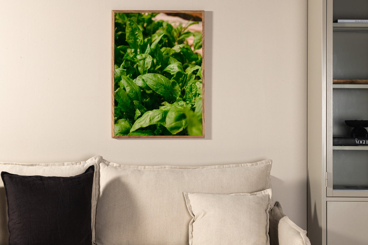 Green Leaf Poster in Grün präsentiert im Onlineshop von KAQTU Design AG. Bild ist von Venture Home