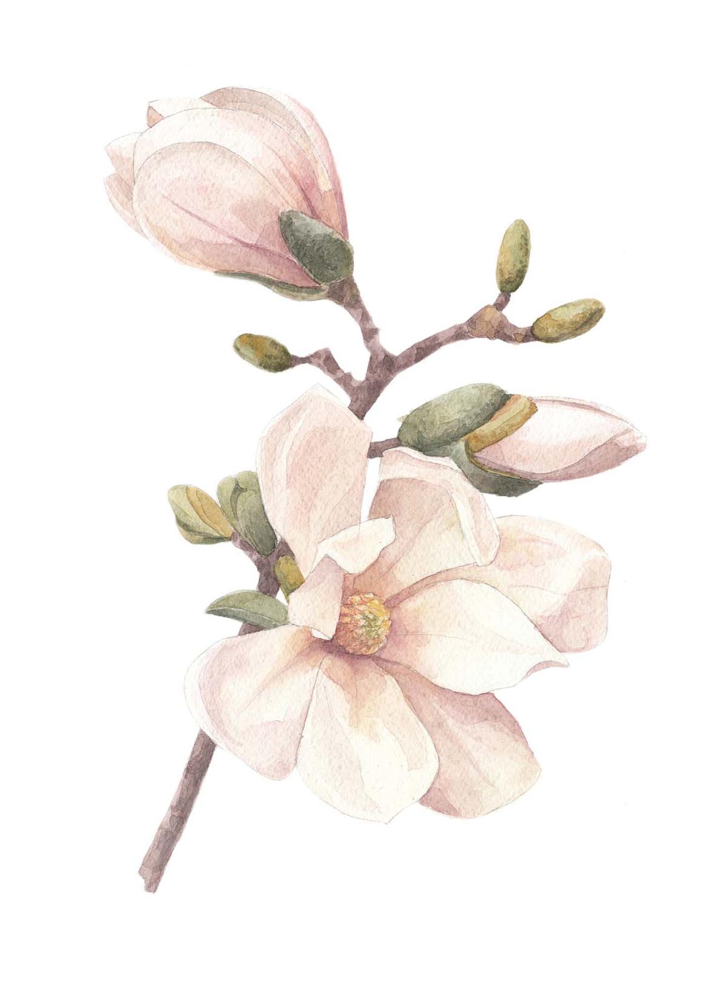 Entdecken Sie das handgemachte Kirschbaum-Poster von Venture Home – ein einzigartiges Kunstwerk, das Ihr Zuhause mit Farbe und Stil bereichert!