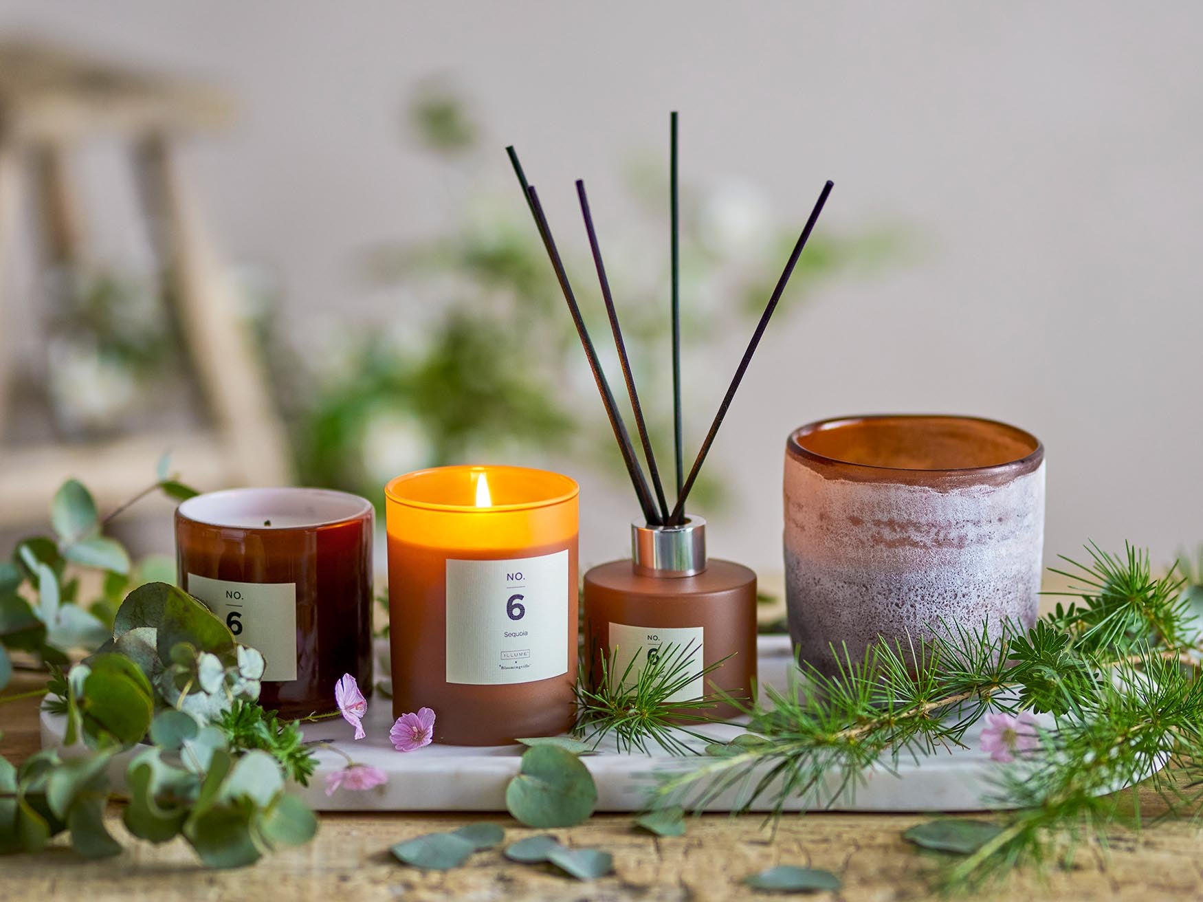 Illume NO. 6 Sequoia: Braune Kerze mit erdigem Waldduft, Naturwachs.