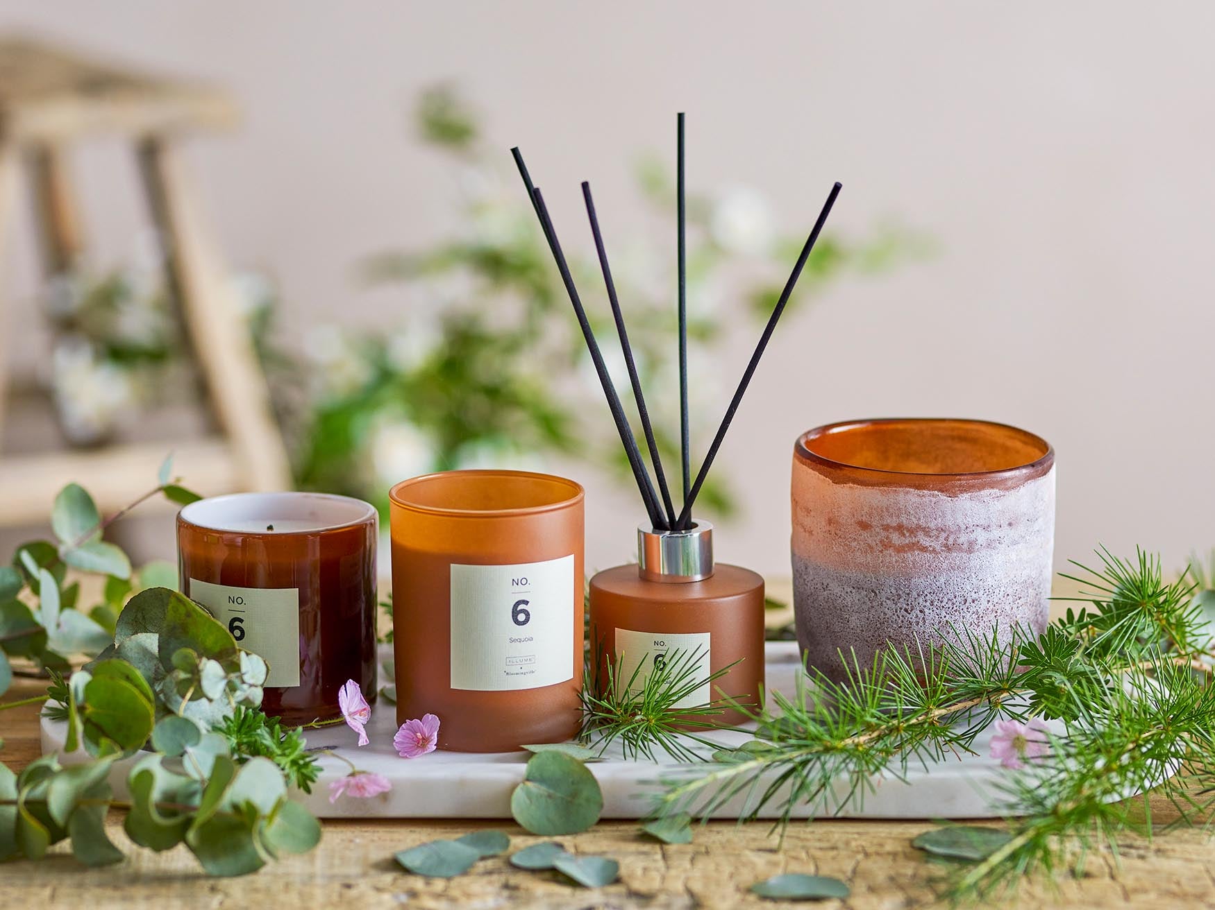 NO. 6 Sequoia Duftkerze: Natürlicher Waldduft, braunes Design, Illume.