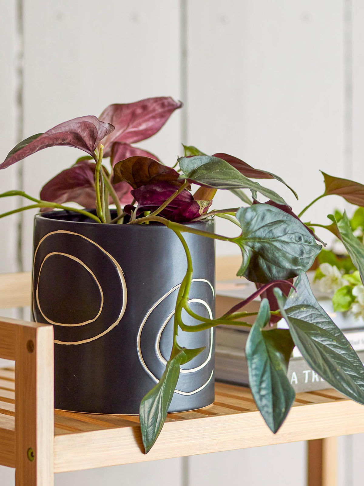 Troy Blumentopf, Schwarz, Steingut in Black präsentiert im Onlineshop von KAQTU Design AG. Blumentopf ist von Bloomingville