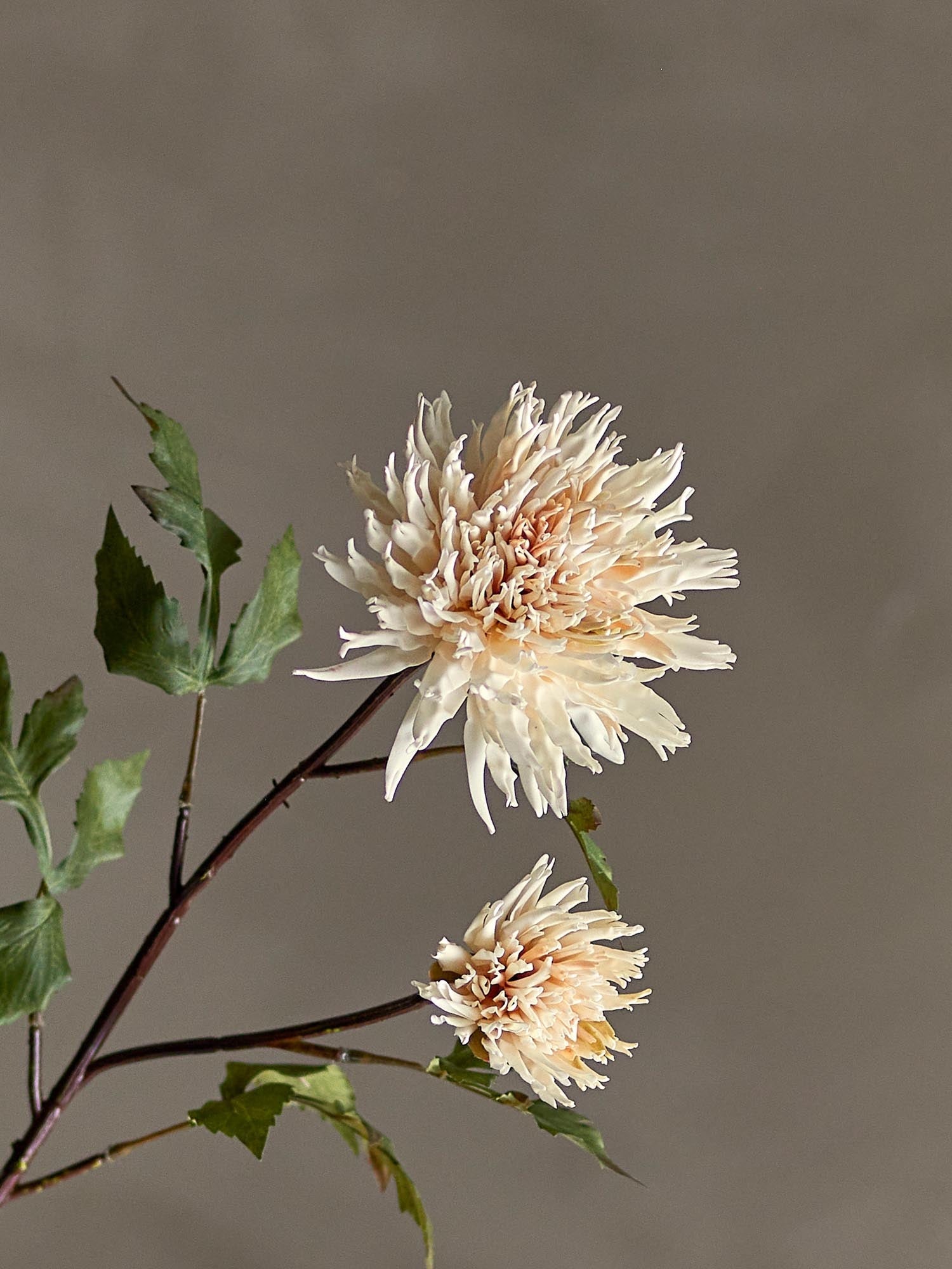 Künstlicher Chrysanthemen-Stiel von Bloomingville, ideal für stilvolle Dekorationen und dauerhafte florale Akzente in jedem Raum.