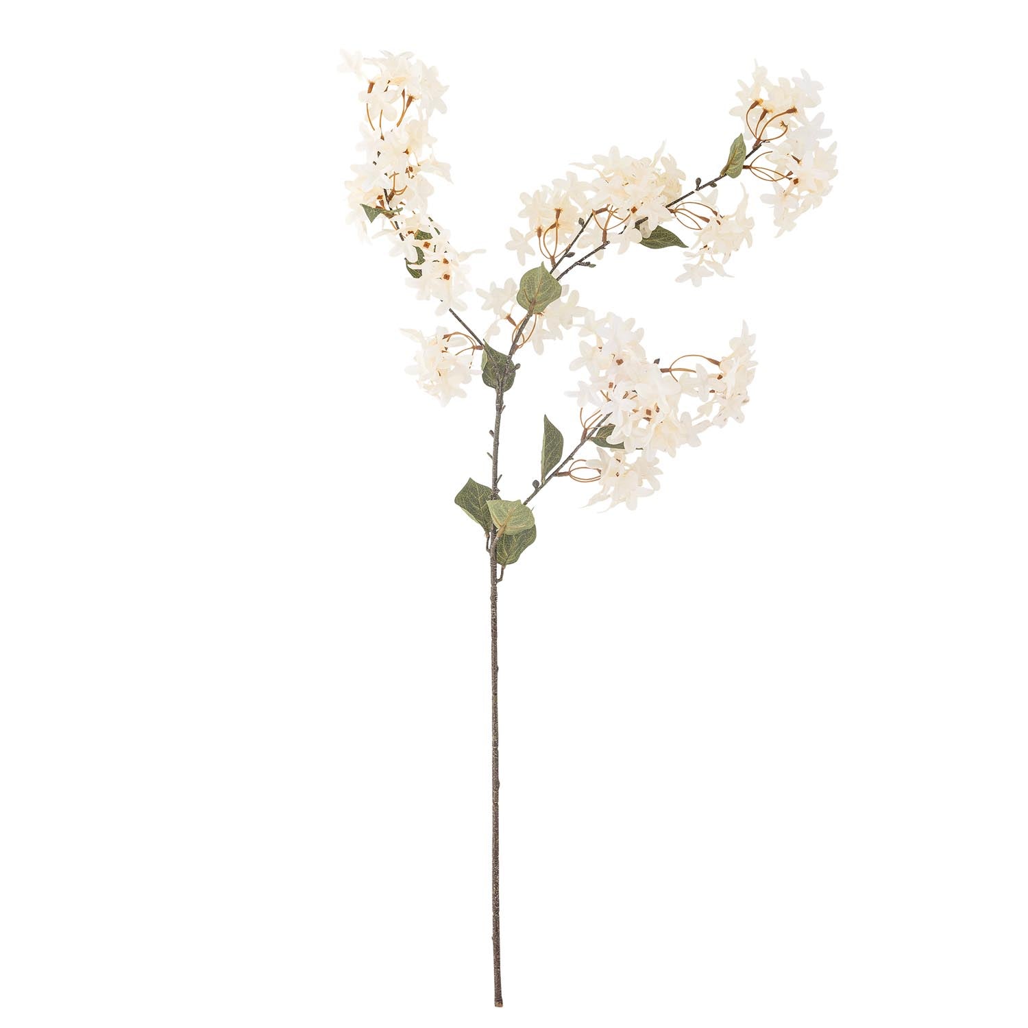 Eleganter Myrtle Zweig in Weiss von Bloomingville: Realistische Kunstblume, pflegeleicht, flexibel, ideal für stilvolle Dekoration.