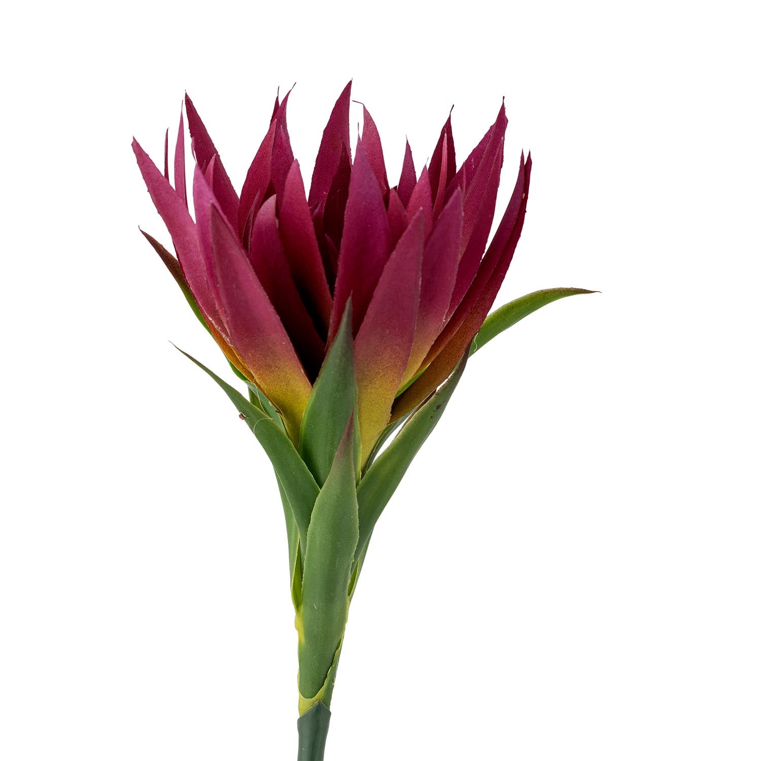 Eleganter violetter Lilienstiel von Bloomingville, perfekt für zeitlose Dekorationen und kunstvolle Blumenarrangements.